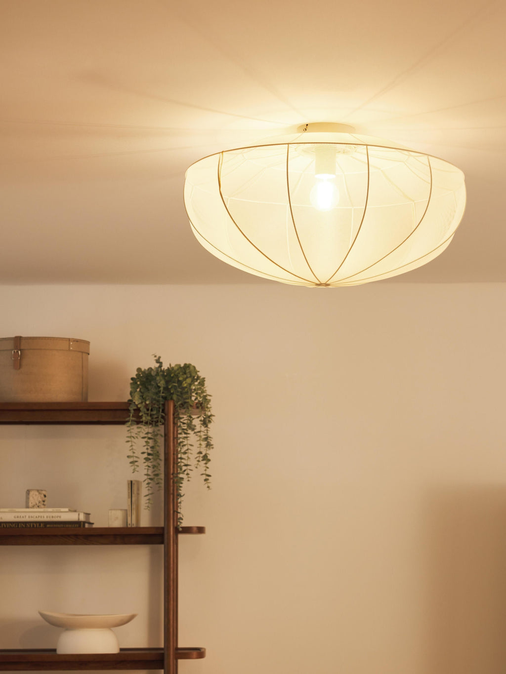 Beau Mesh Ceiling Lamp