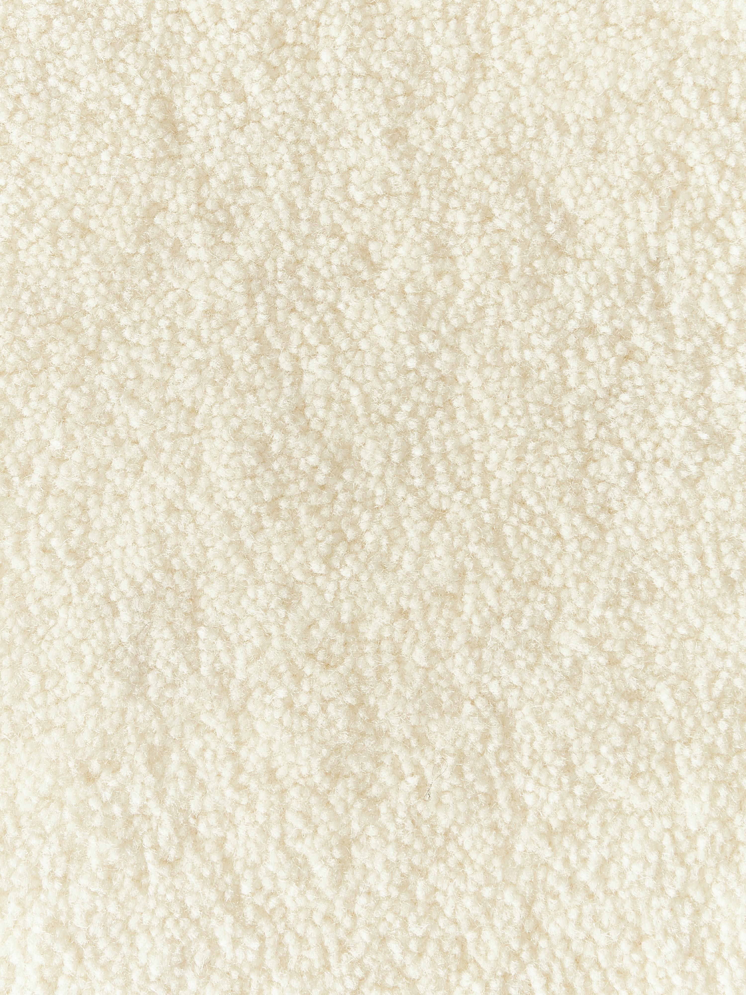 Kadey Organic-Shaped Hand-Tufted Wool Rug