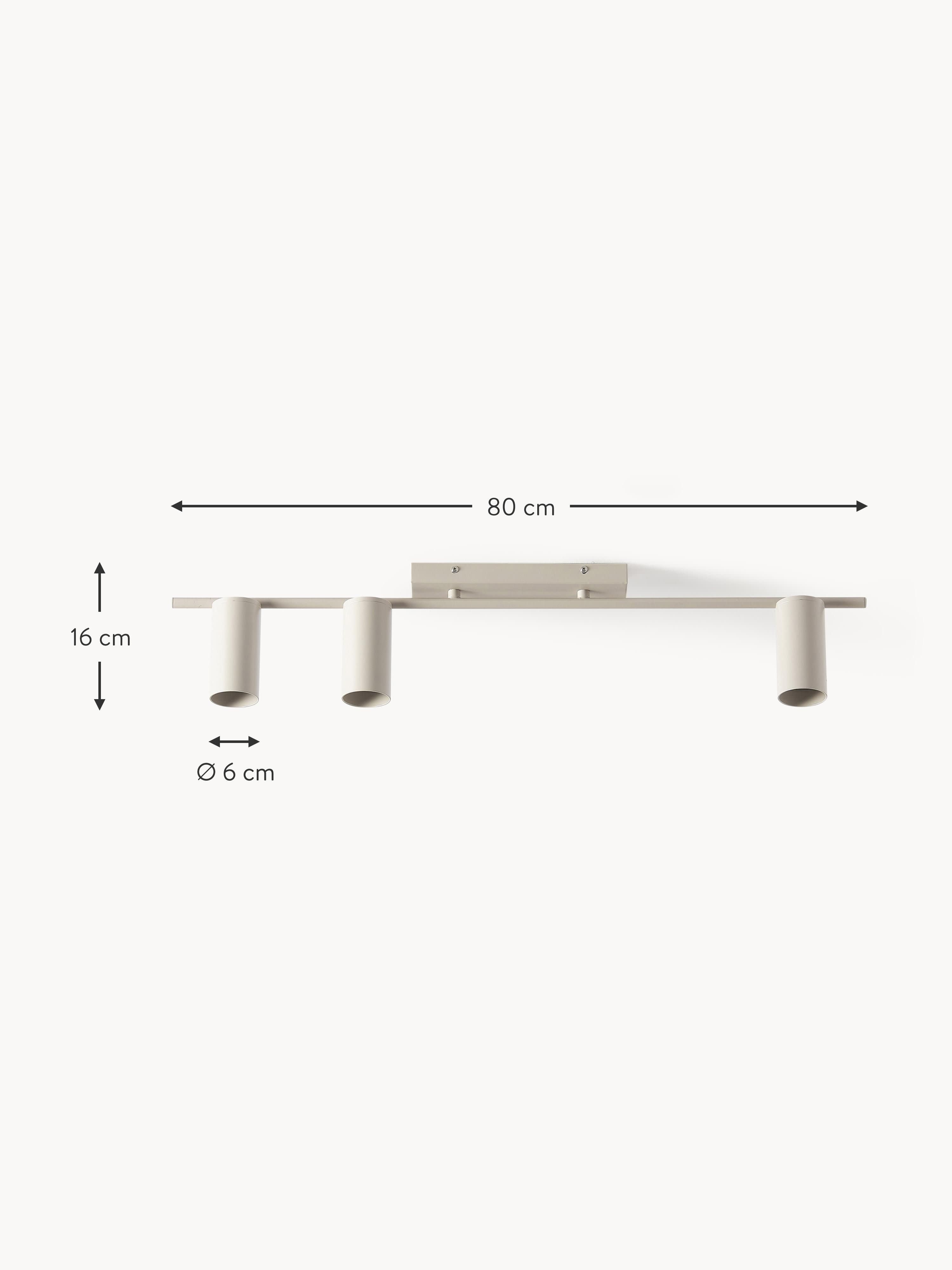 Cassandra Large Ceiling Spotlight