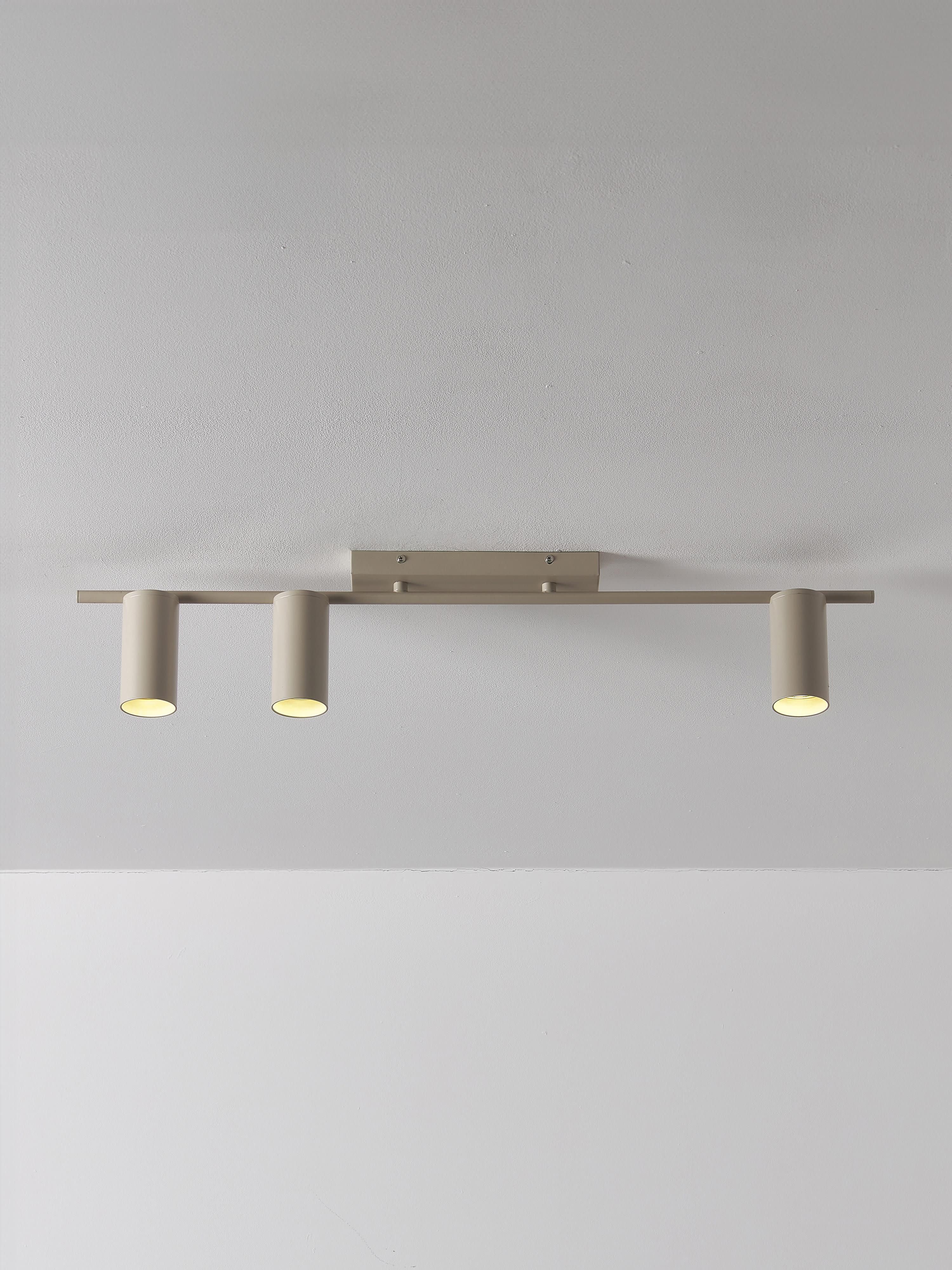 Cassandra Large Ceiling Spotlight