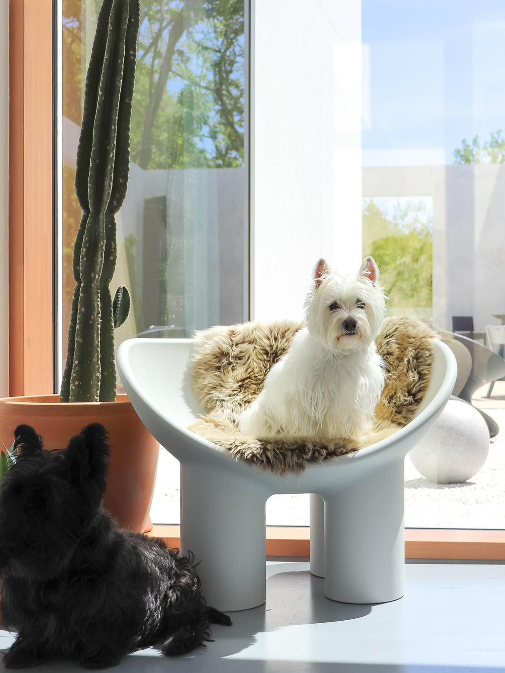 Poly Lounge Chair Roly