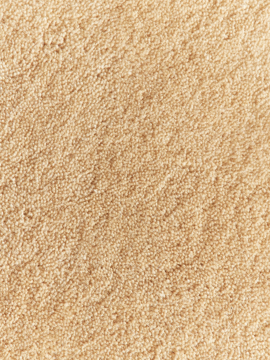 Zayne Hand-Tufted Wool Rug