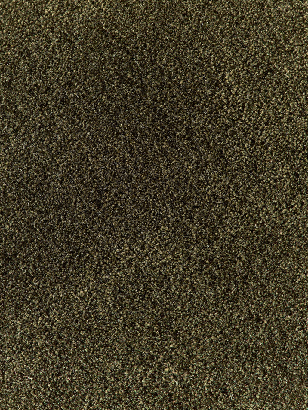 Zayne Hand-Tufted Wool Rug