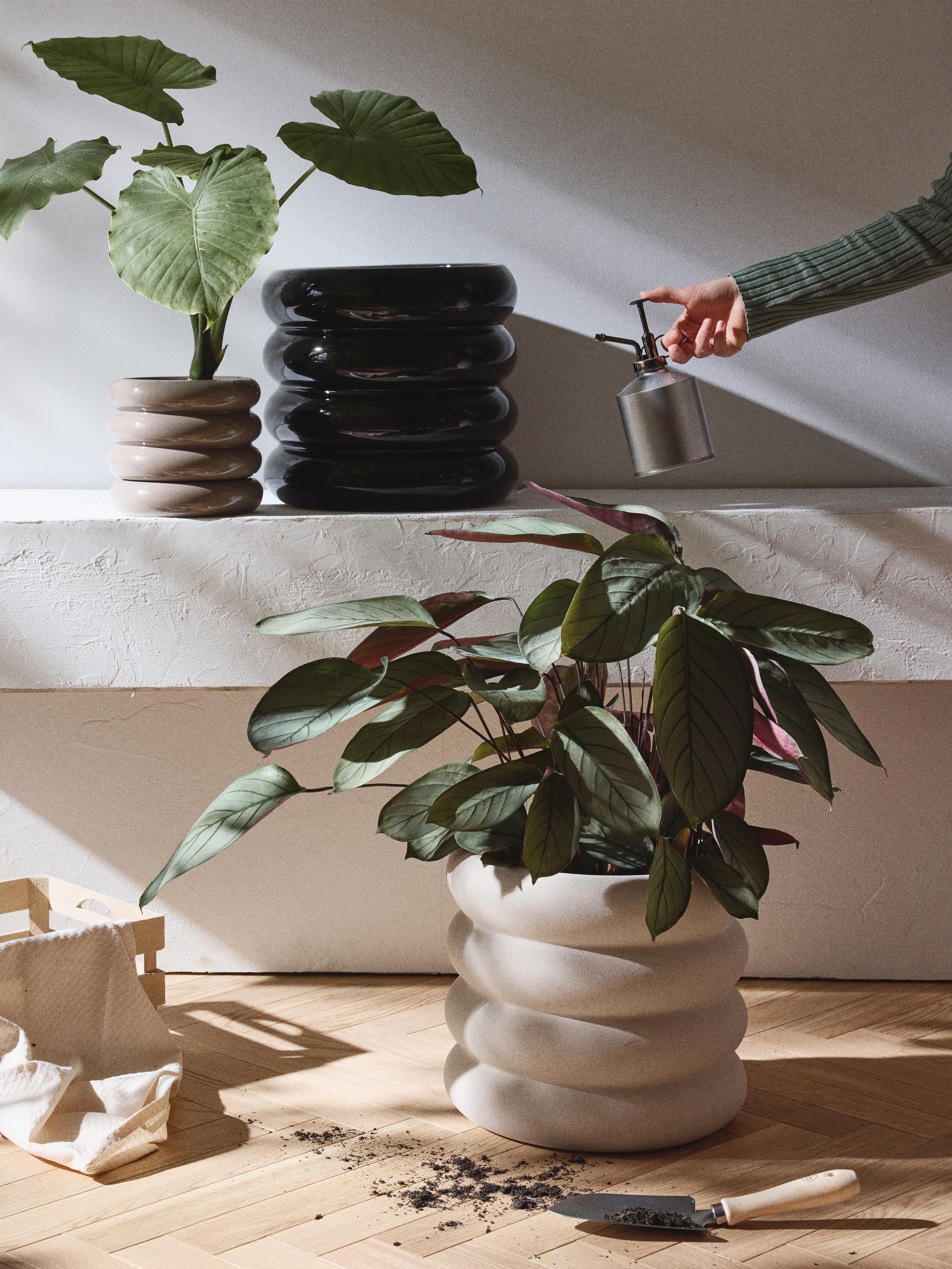 Rudi Planter, H 30 cm