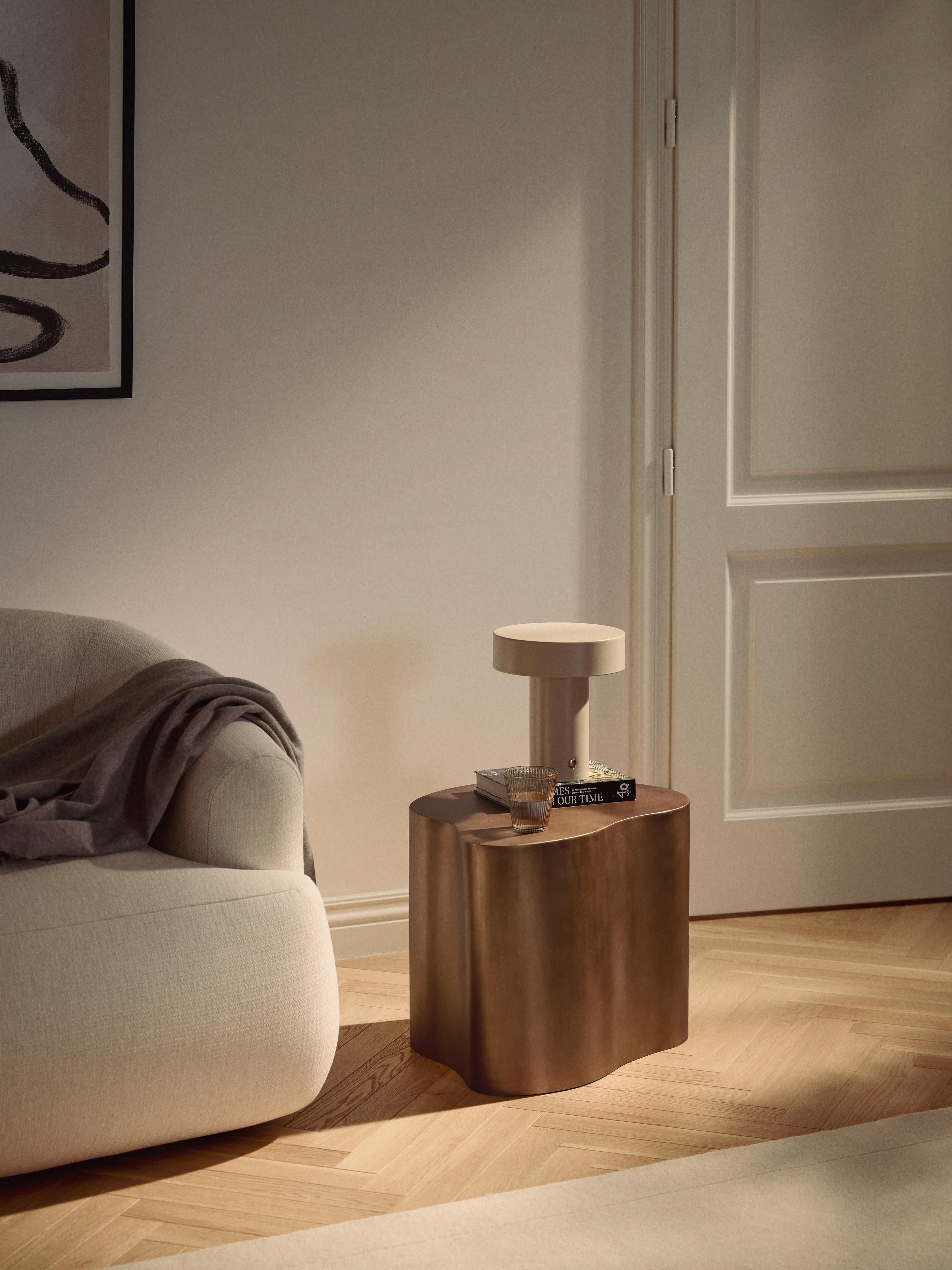 Dale Metal Side Table in Organic Shape