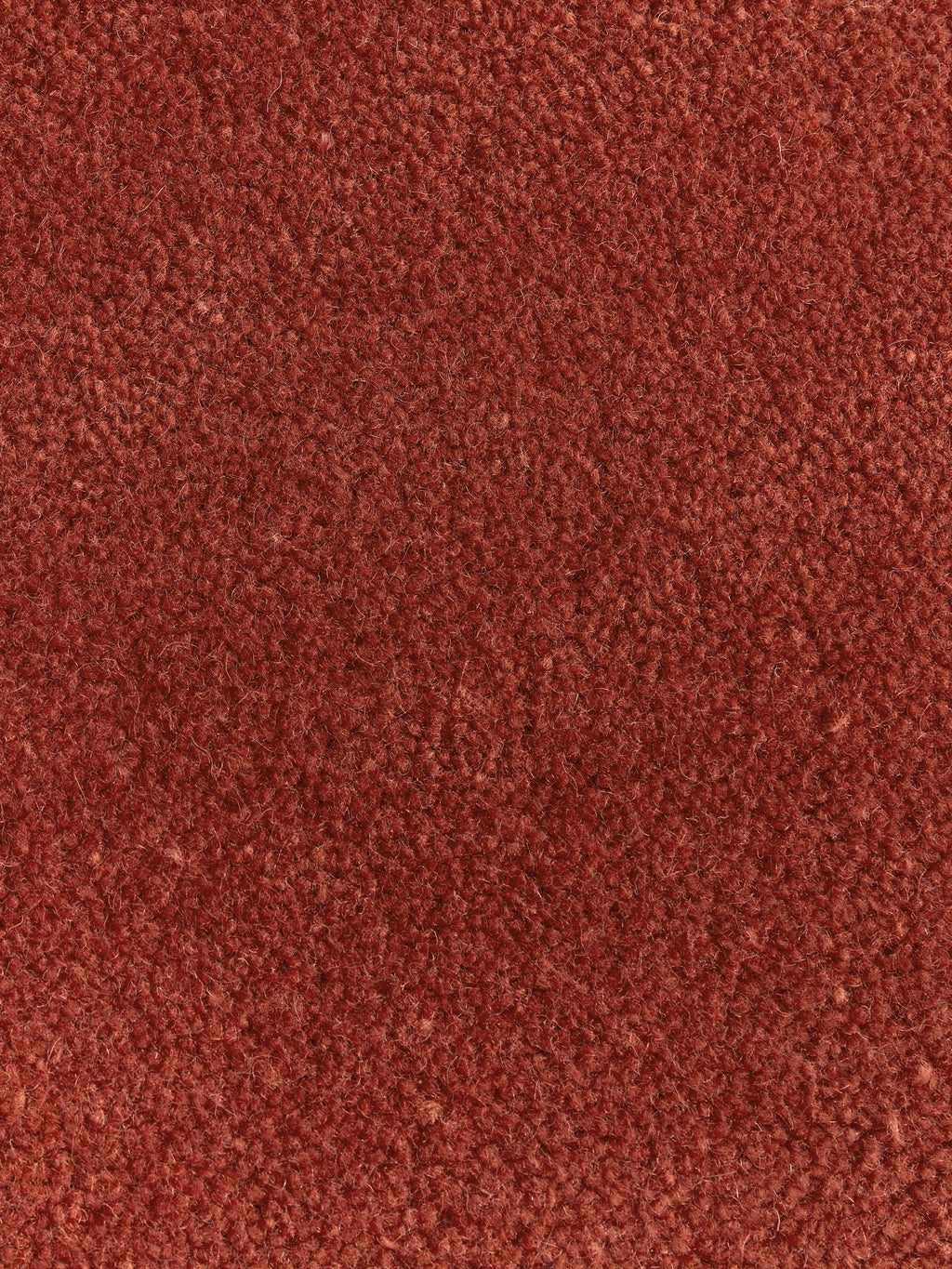 Kadey Organic-Shaped Hand-Tufted Wool Rug