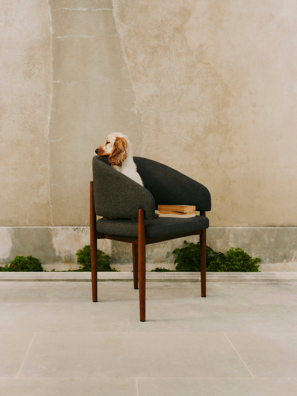 Nemo Dining Chair with Armrests