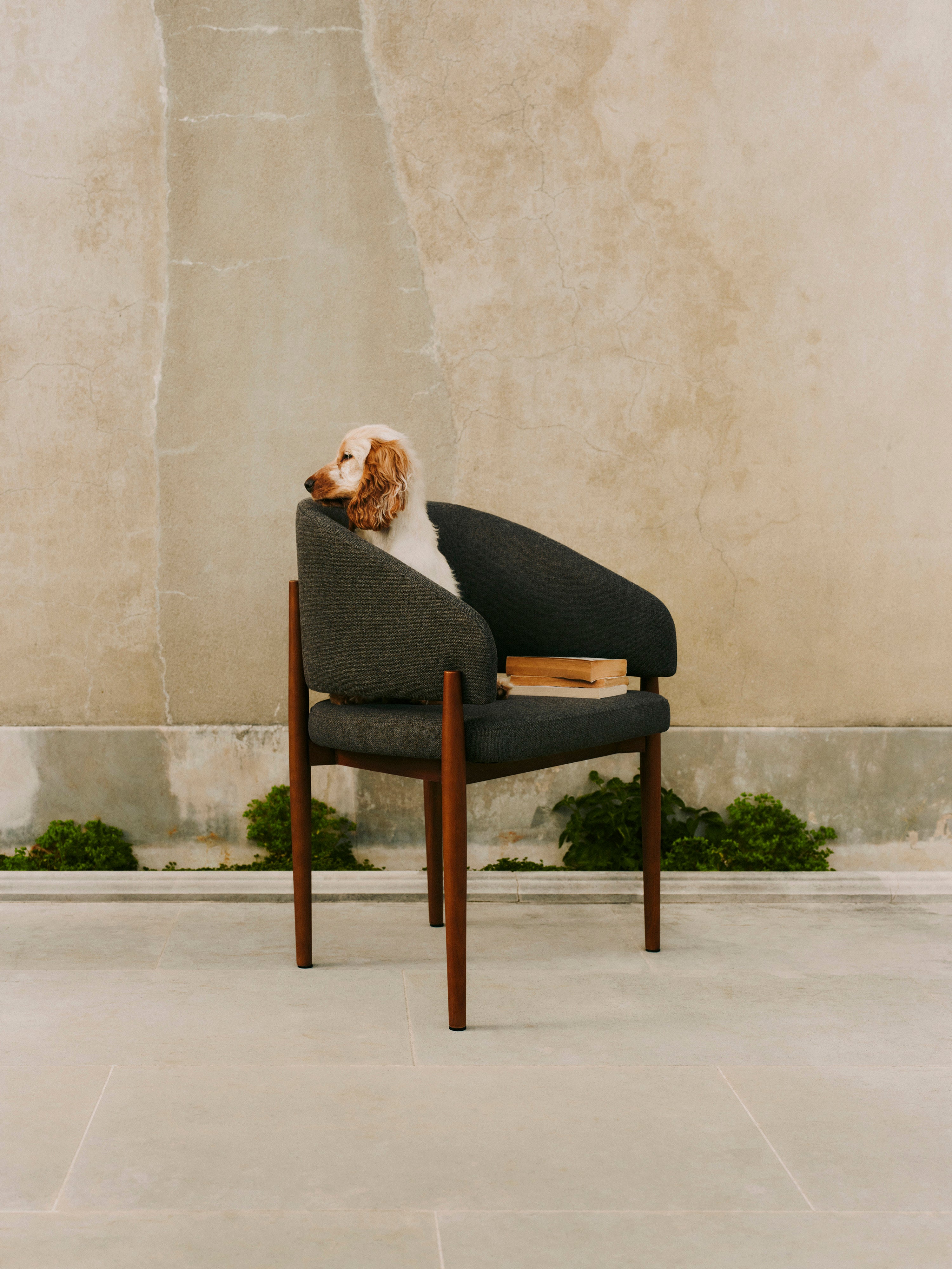 Nemo Dining Chair with Armrests
