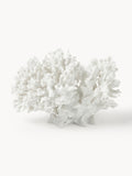 Gallery image 1 - Design Decorative Object Coral