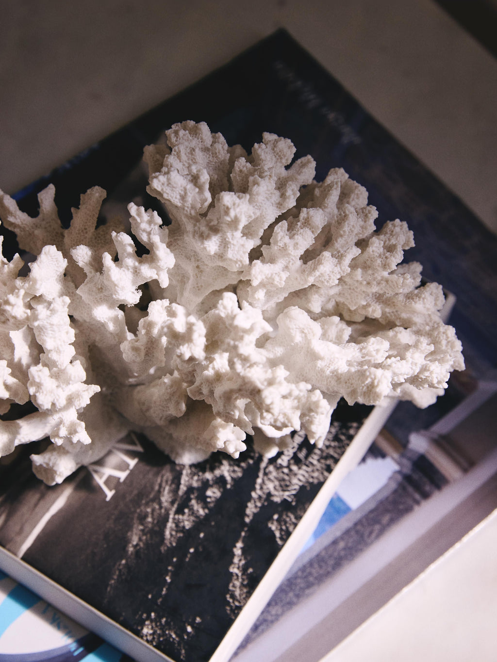 Coral Design Decorative Object