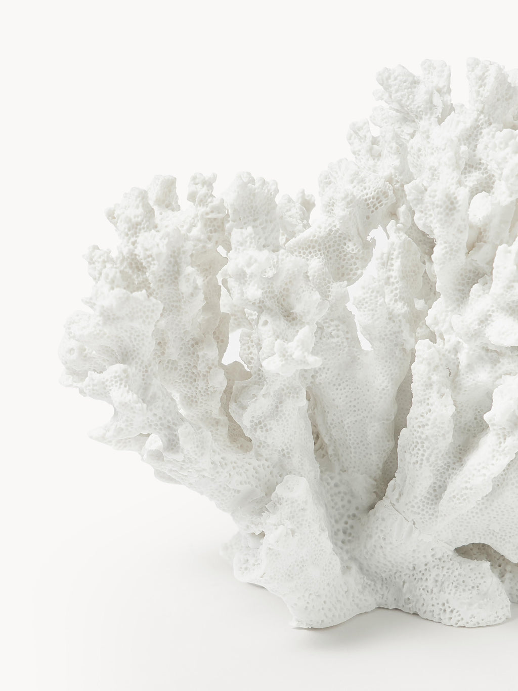 Coral Design Decorative Object