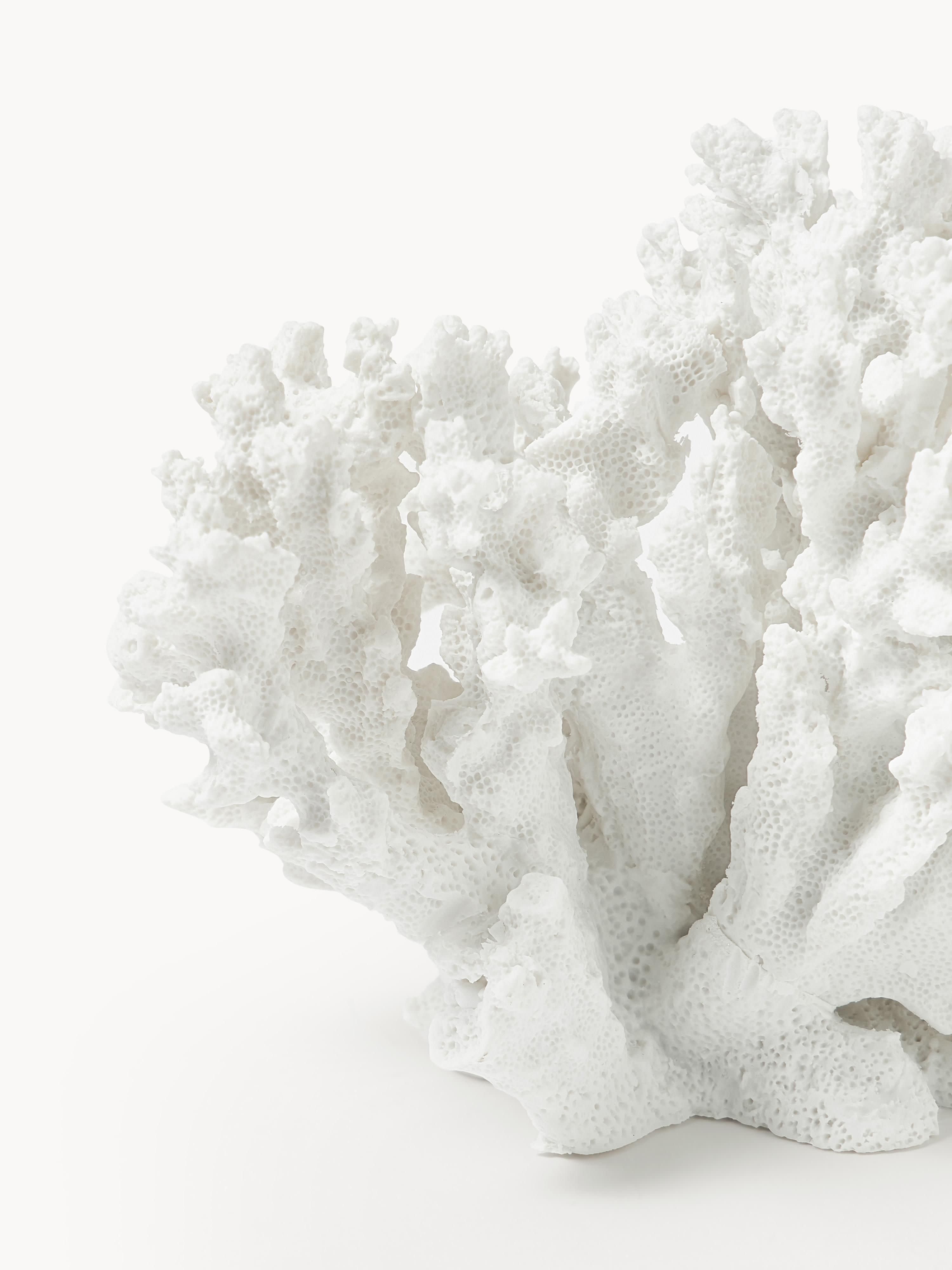 Coral Design Decorative Object