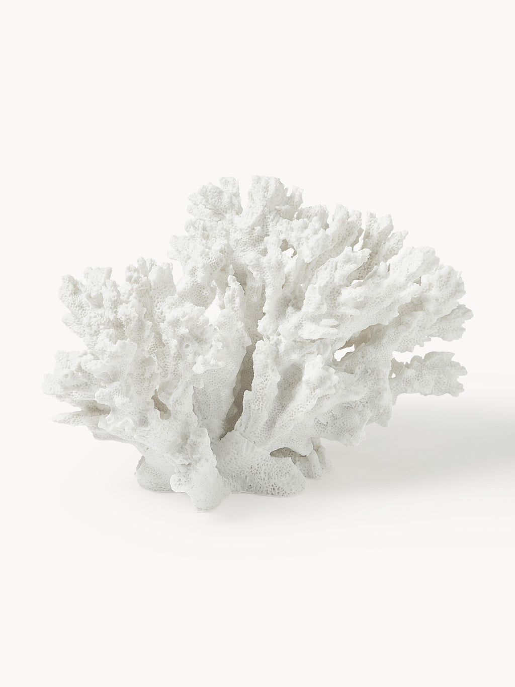 Coral Design Decorative Object