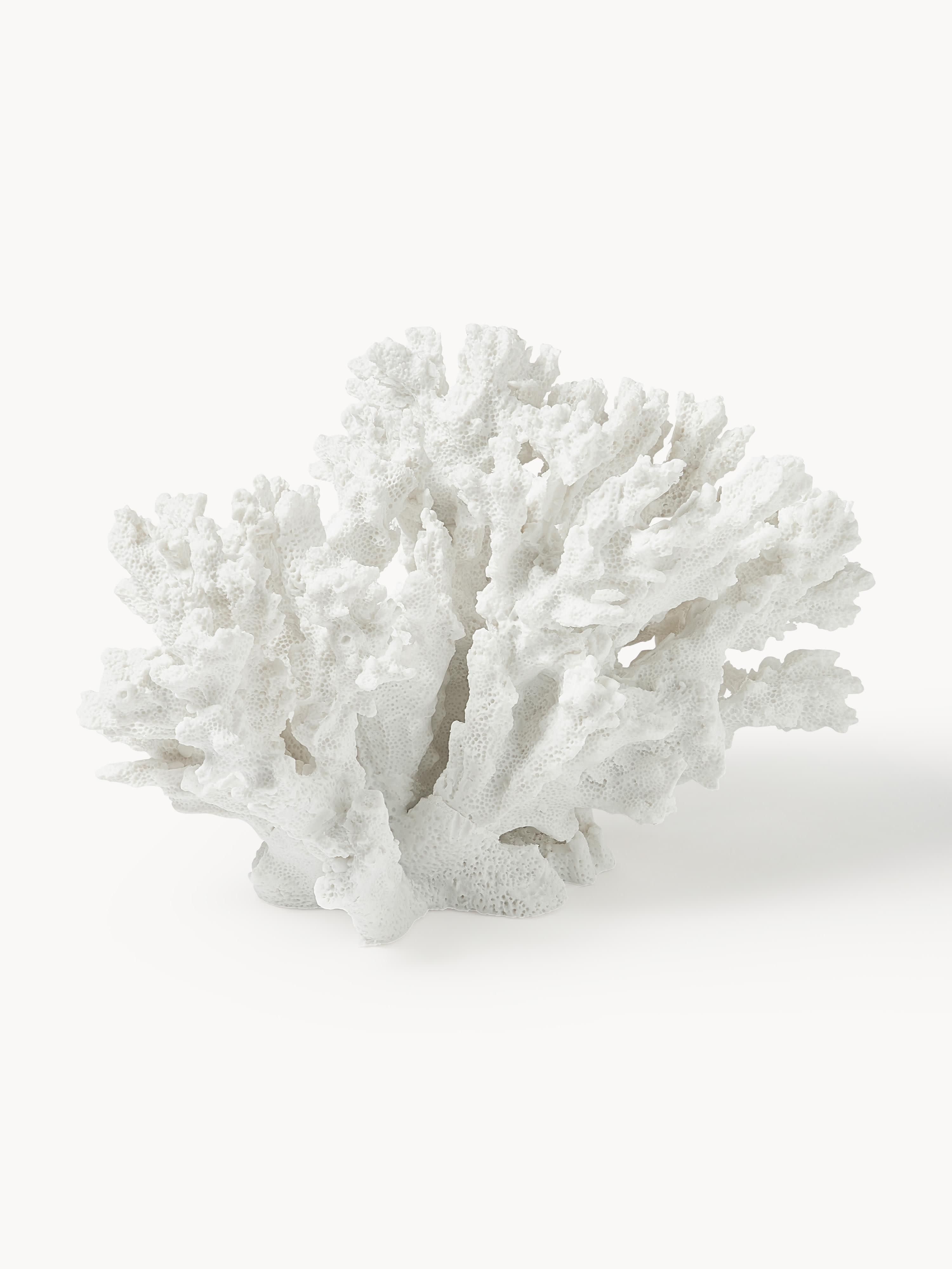 Coral Design Decorative Object