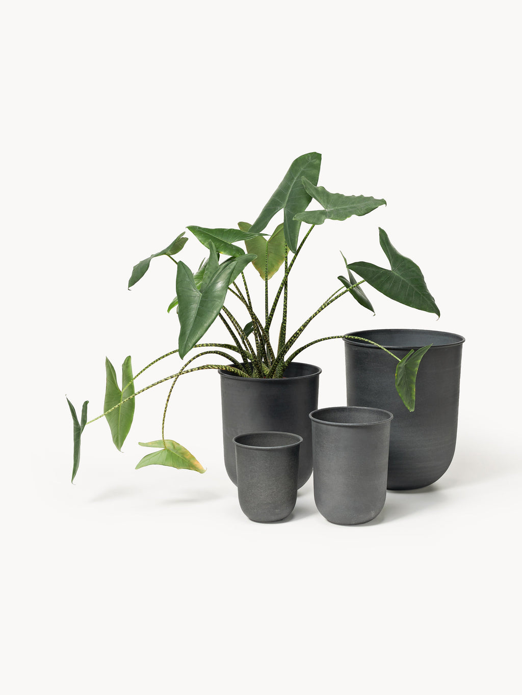 Out Outdoor Plant Pots, Set of 4