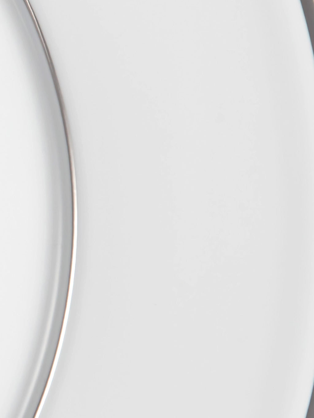 Vitruv Handmade Porcelain Dinner Plates with Platinum Rim, Set of 2