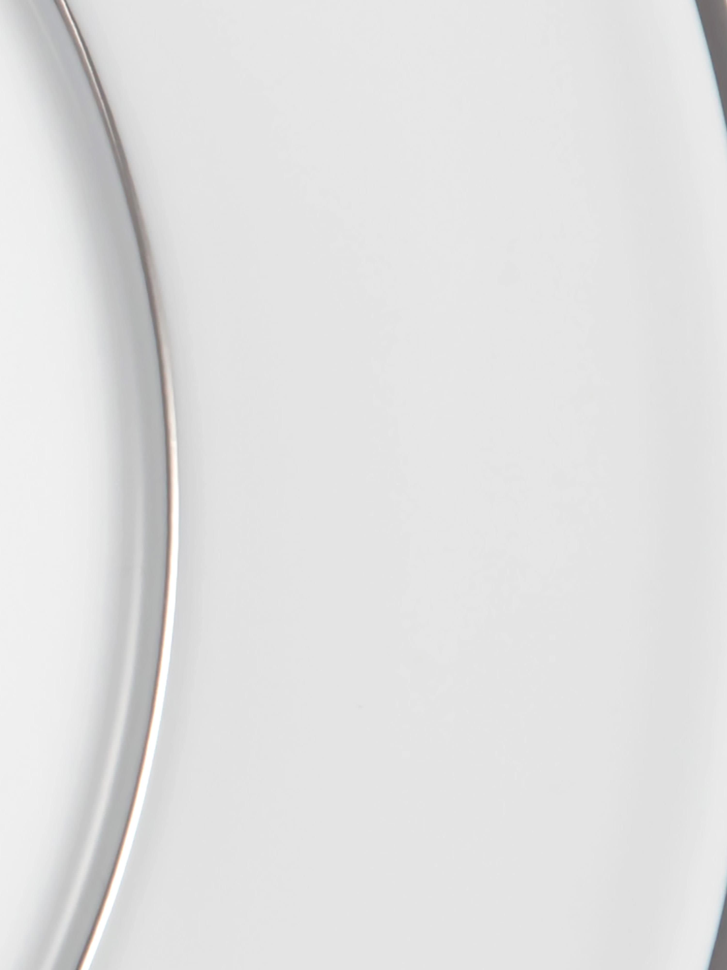 Vitruv Handmade Porcelain Dinner Plates with Platinum Rim, Set of 2