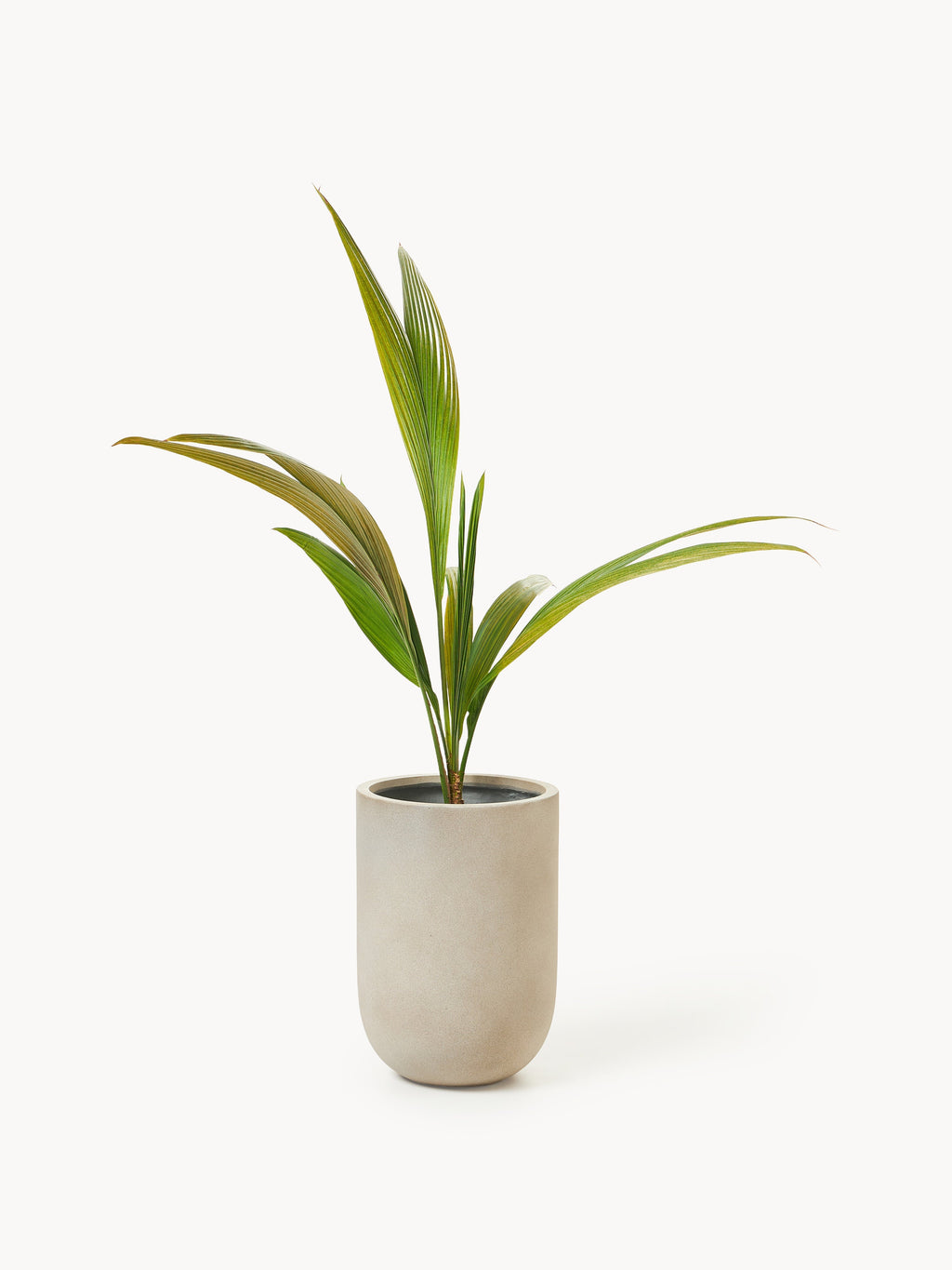 Tuscany Outdoor Concrete Planter, H 49 cm