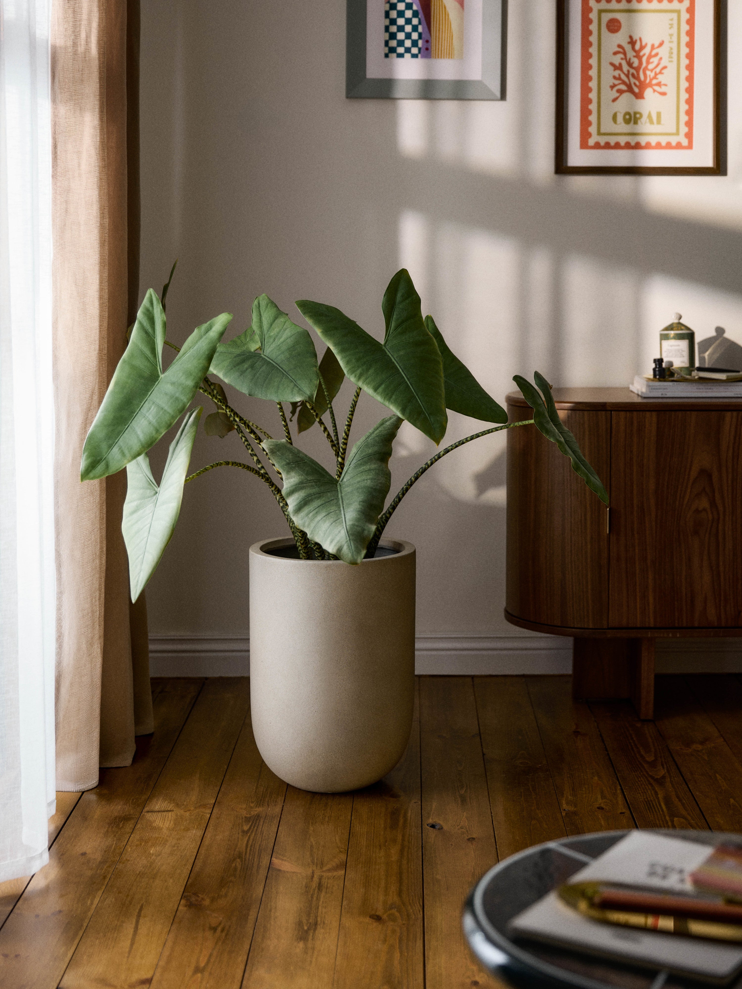 Tuscany Outdoor Concrete Planter, H 49 cm