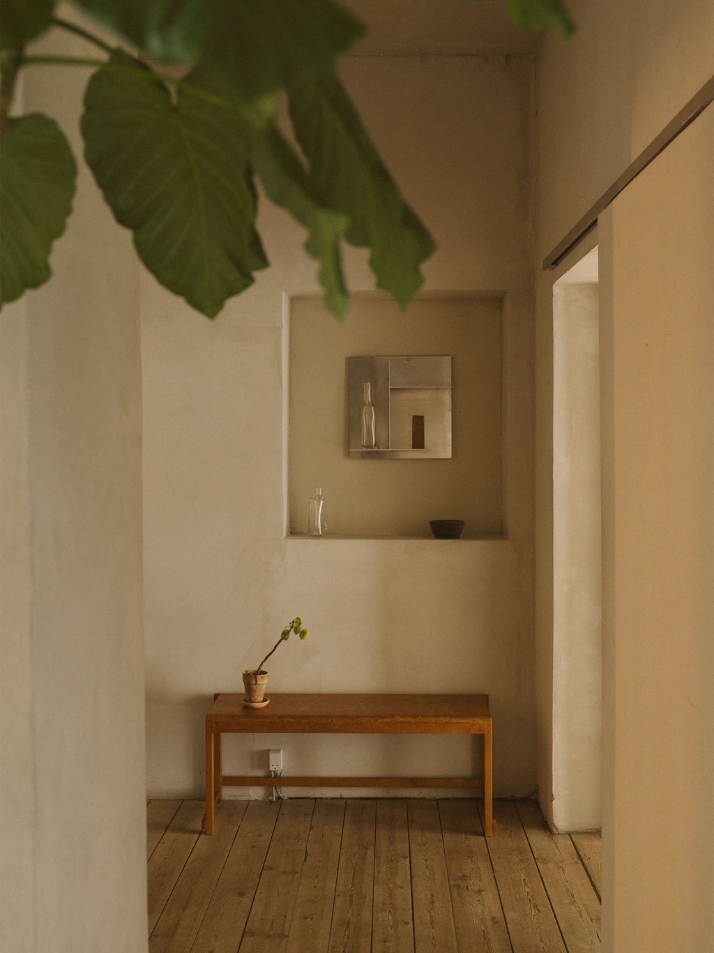 Birch Wood Bench 01