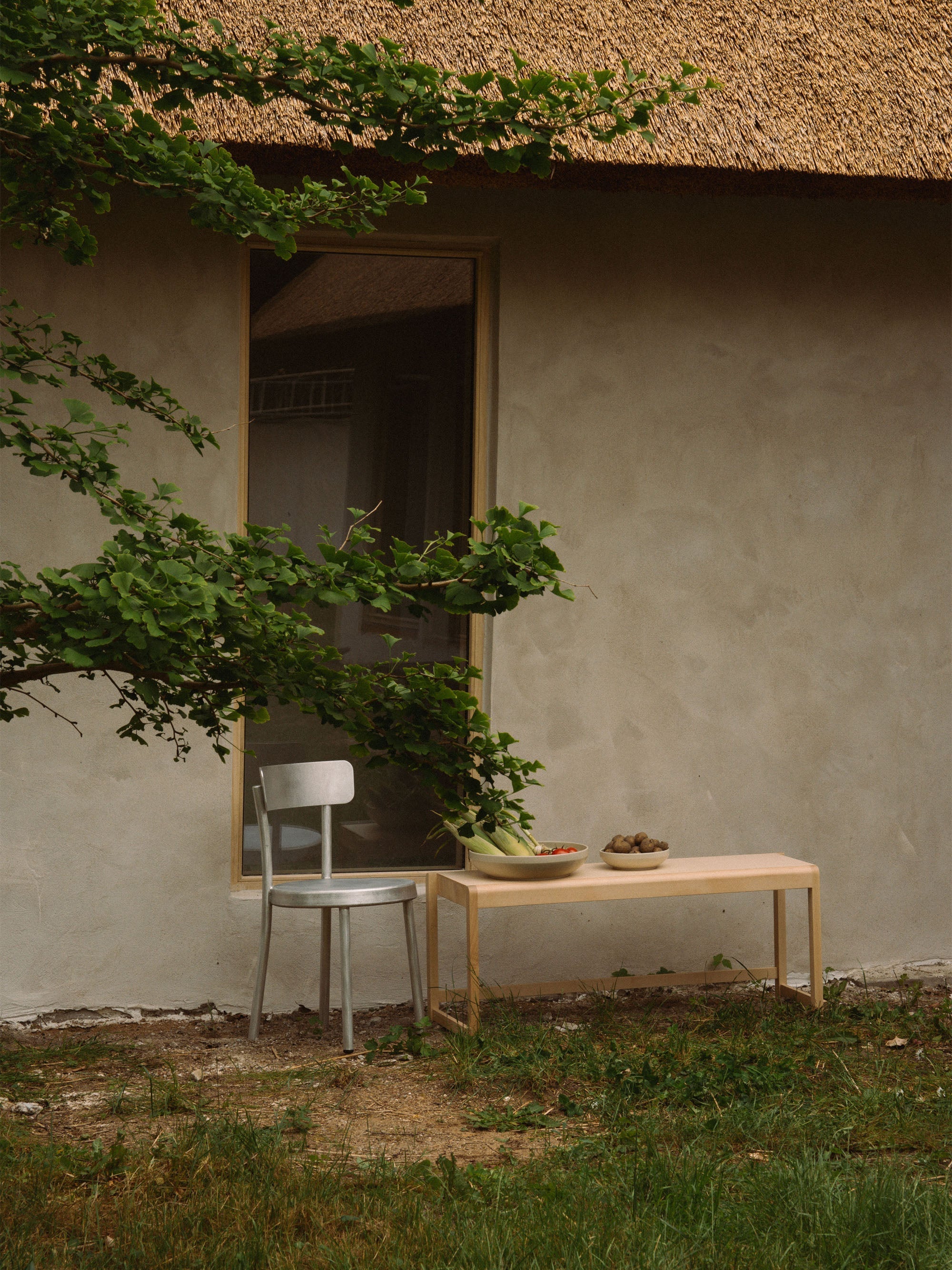 Birch Wood Bench 01