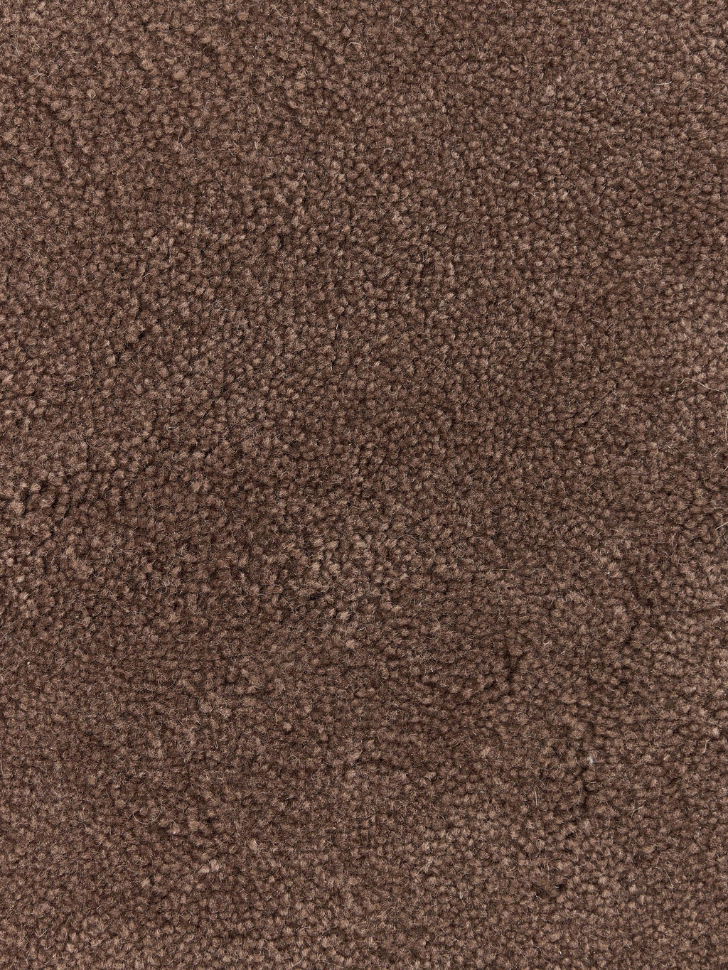 Kadey Organic-Shaped Hand-Tufted Wool Rug