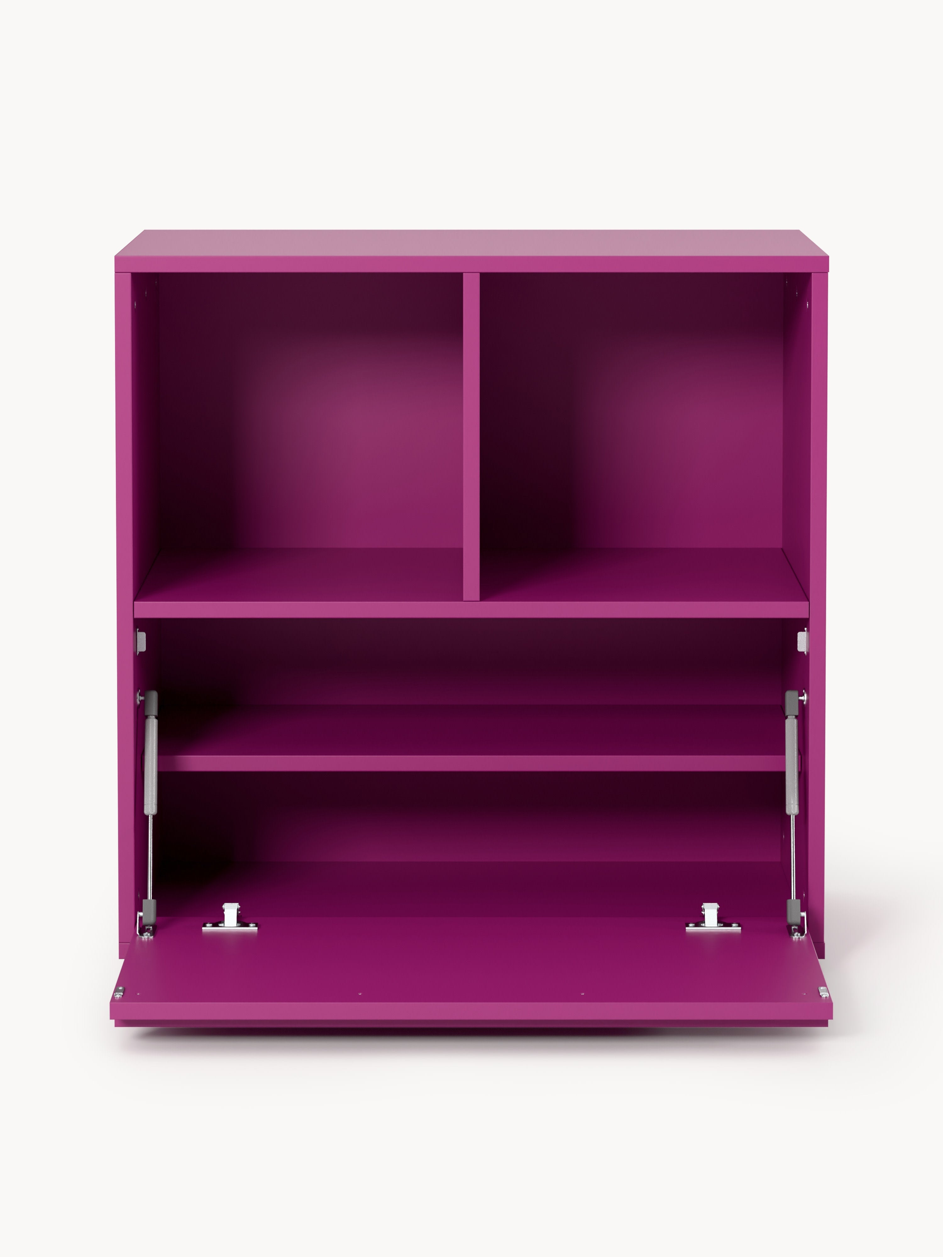Module Ani for Modular Shelf System