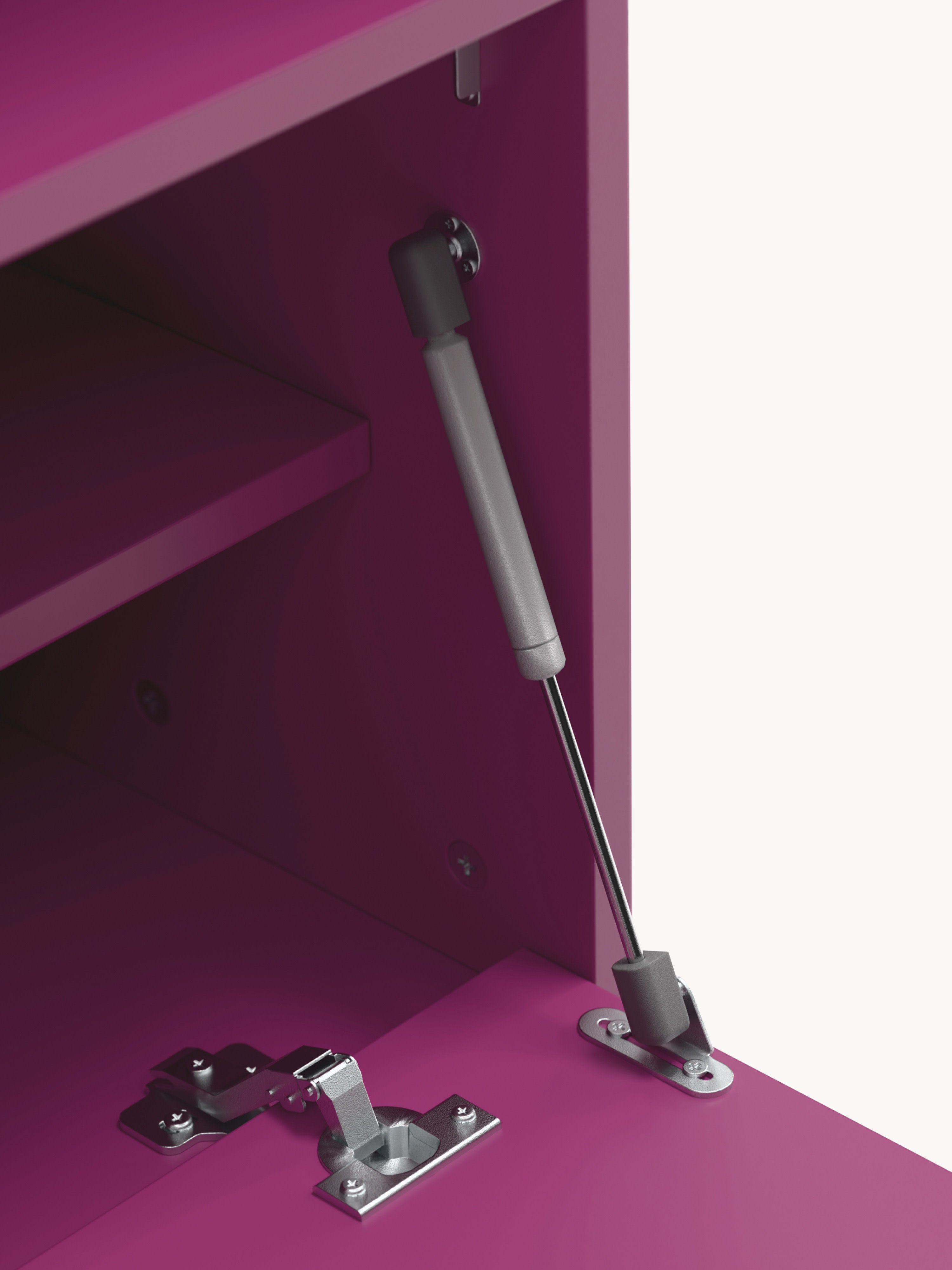 Module Ani for Modular Shelf System