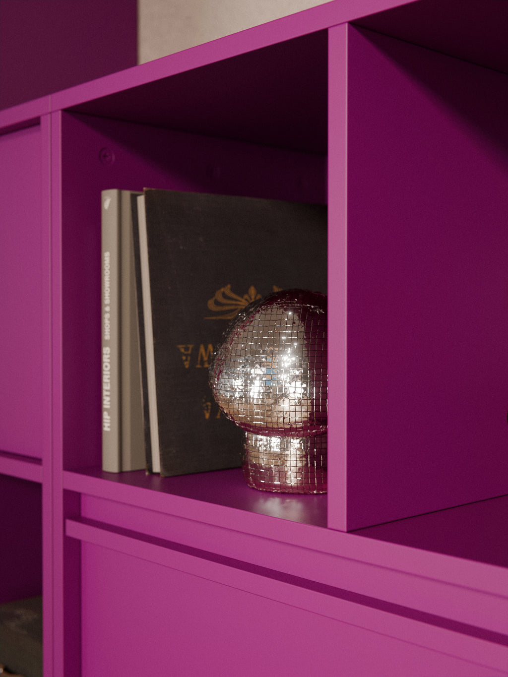 Module Ani for Modular Shelf System