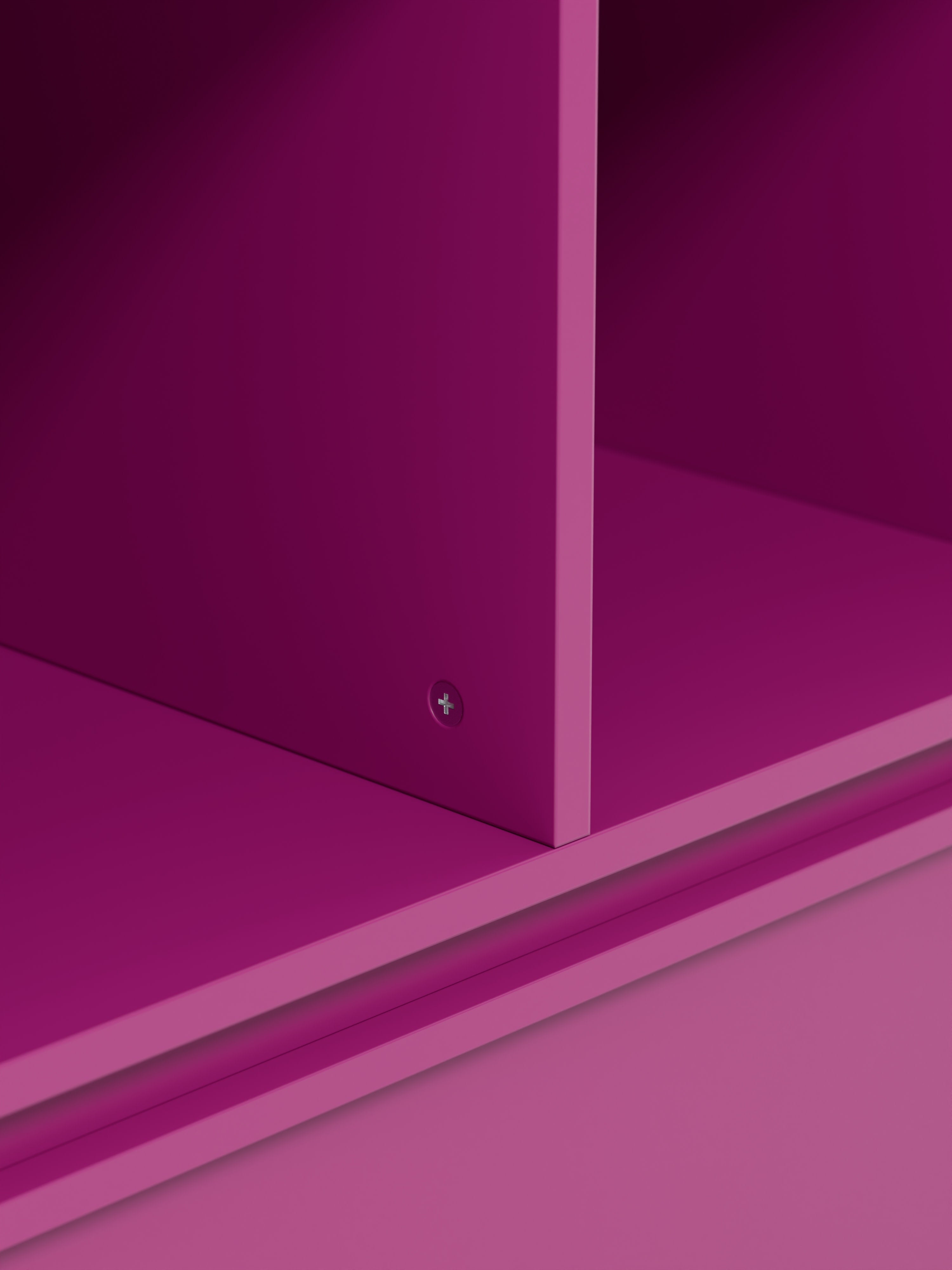 Module Ani for Modular Shelf System