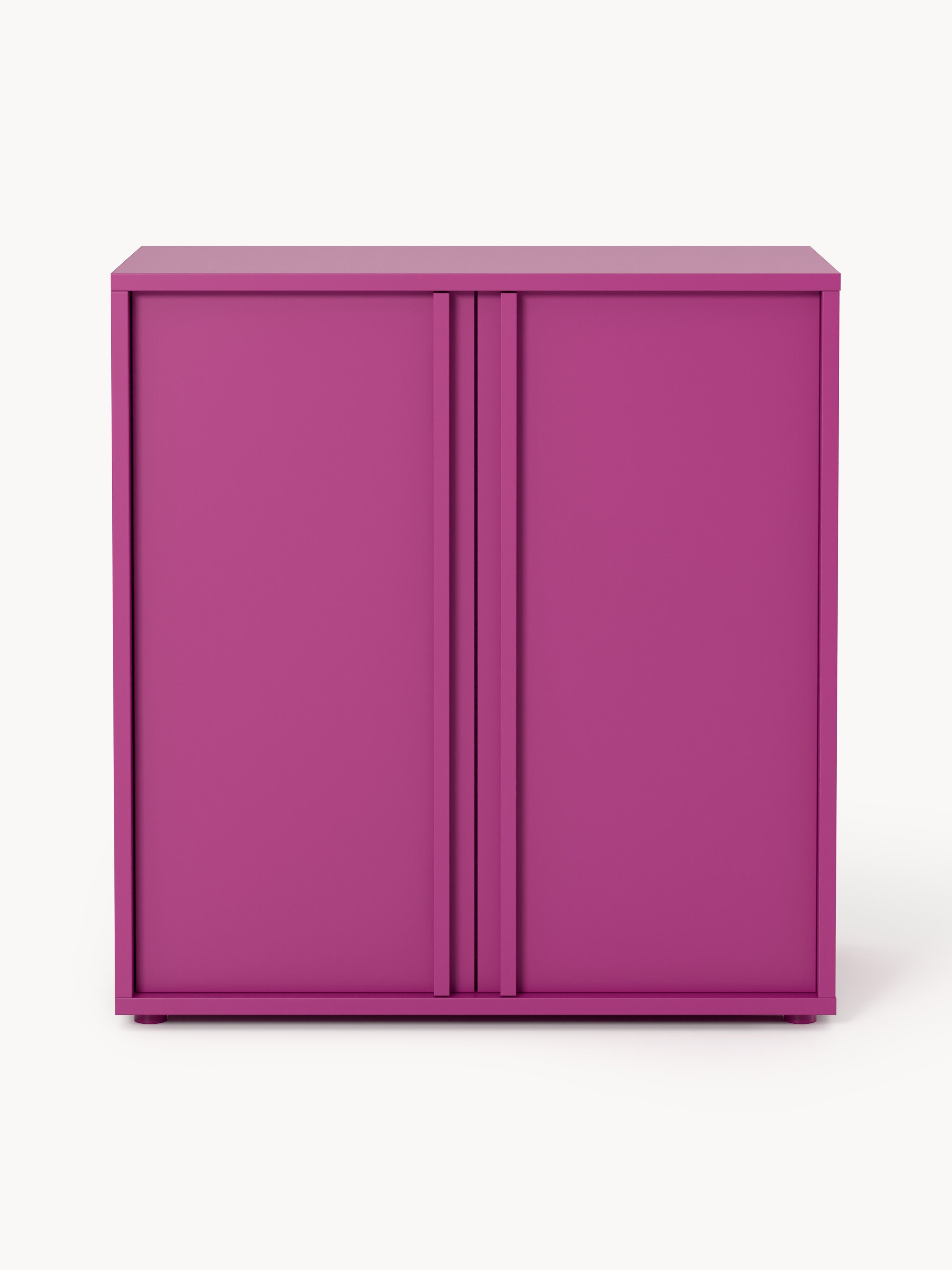 Module Ani for Modular Shelf System