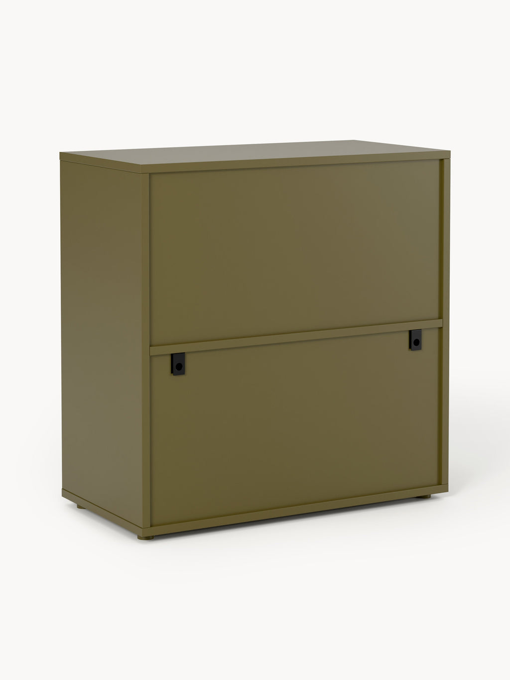 Module Ani for Modular Shelf System