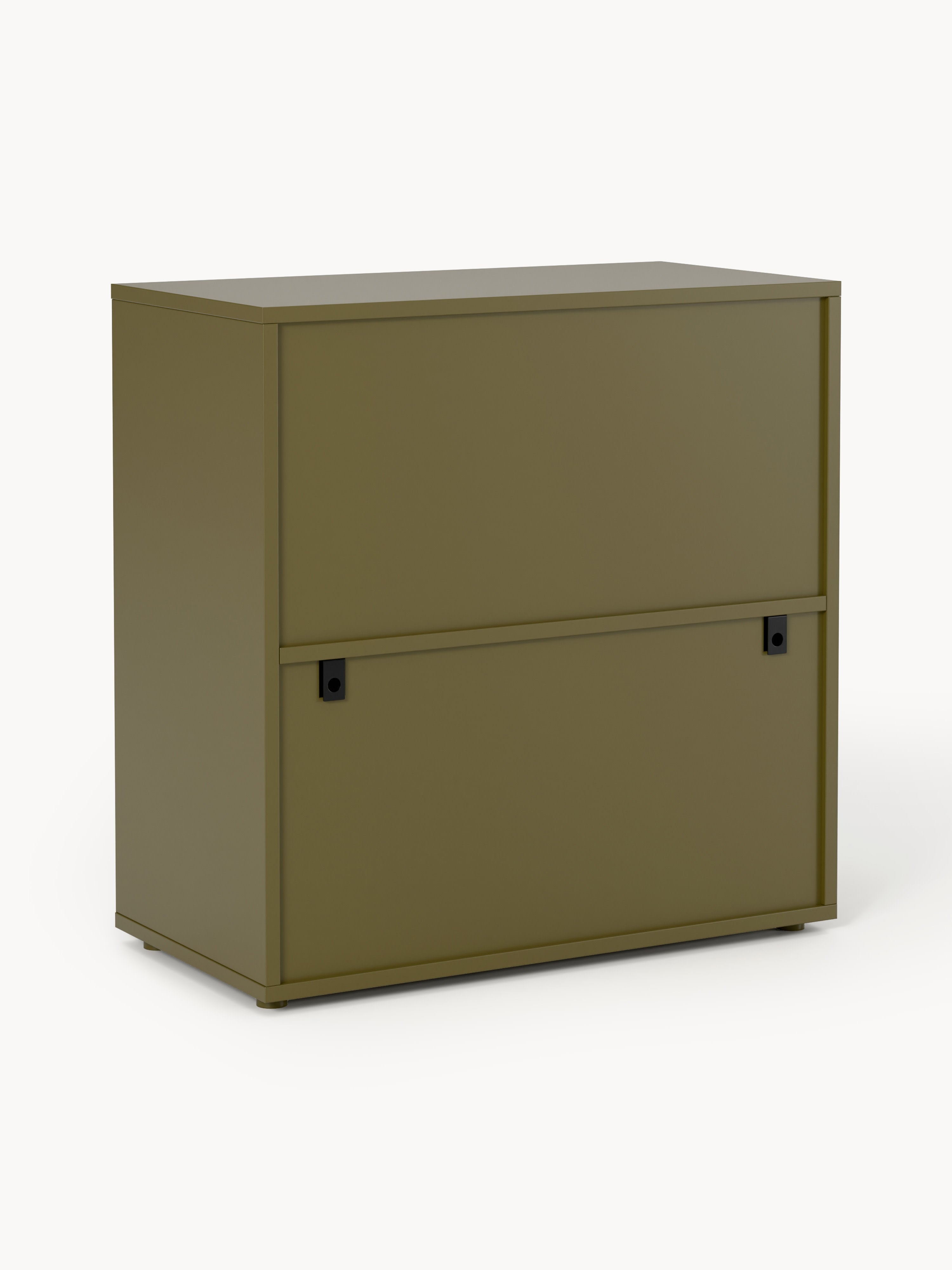 Module Ani for Modular Shelf System