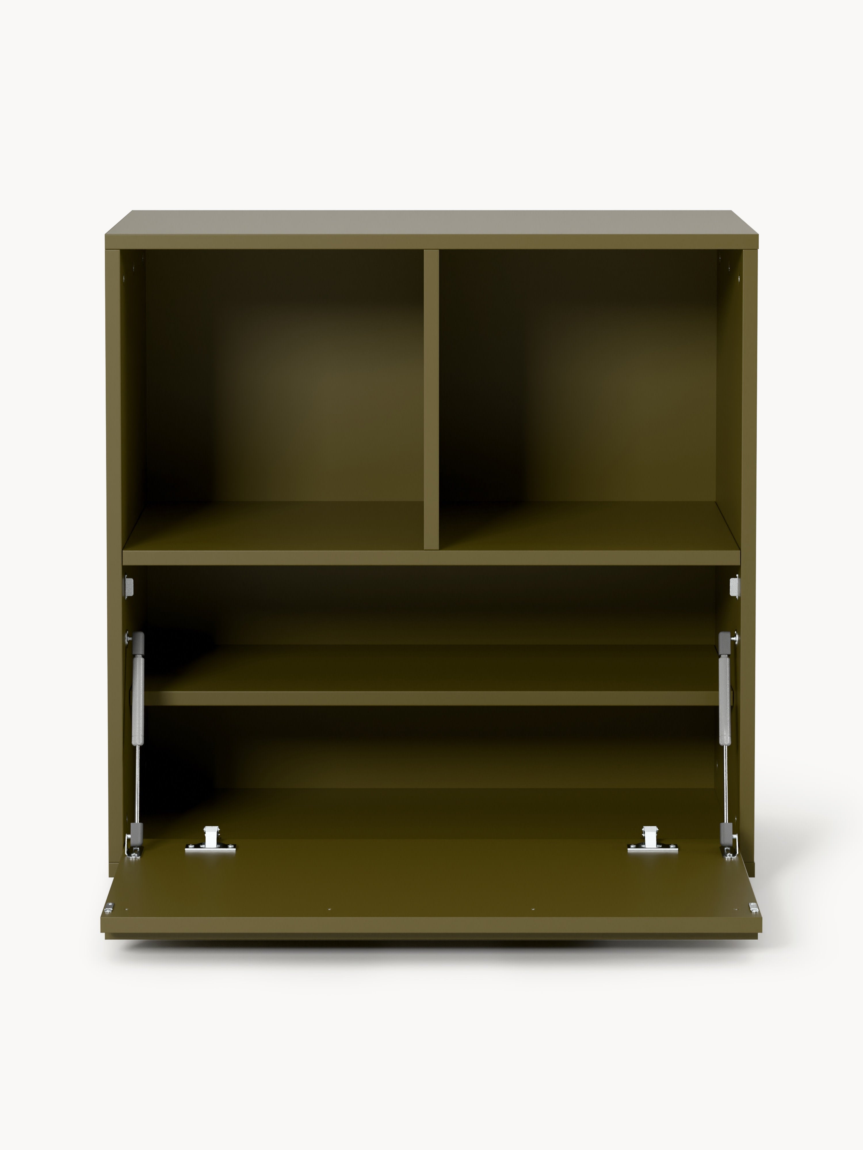 Module Ani for Modular Shelf System