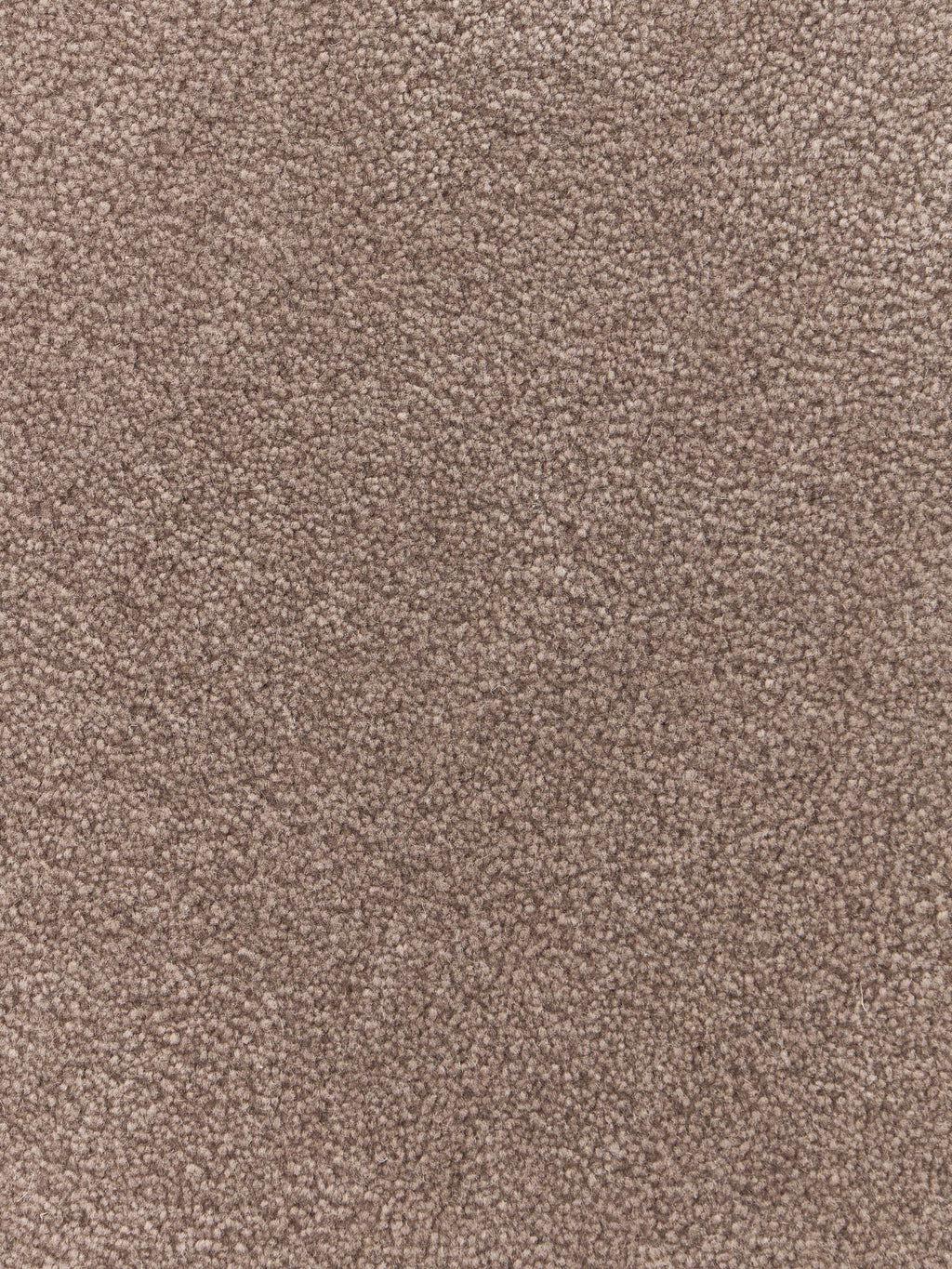 Kadey Organic-Shaped Hand-Tufted Wool Rug