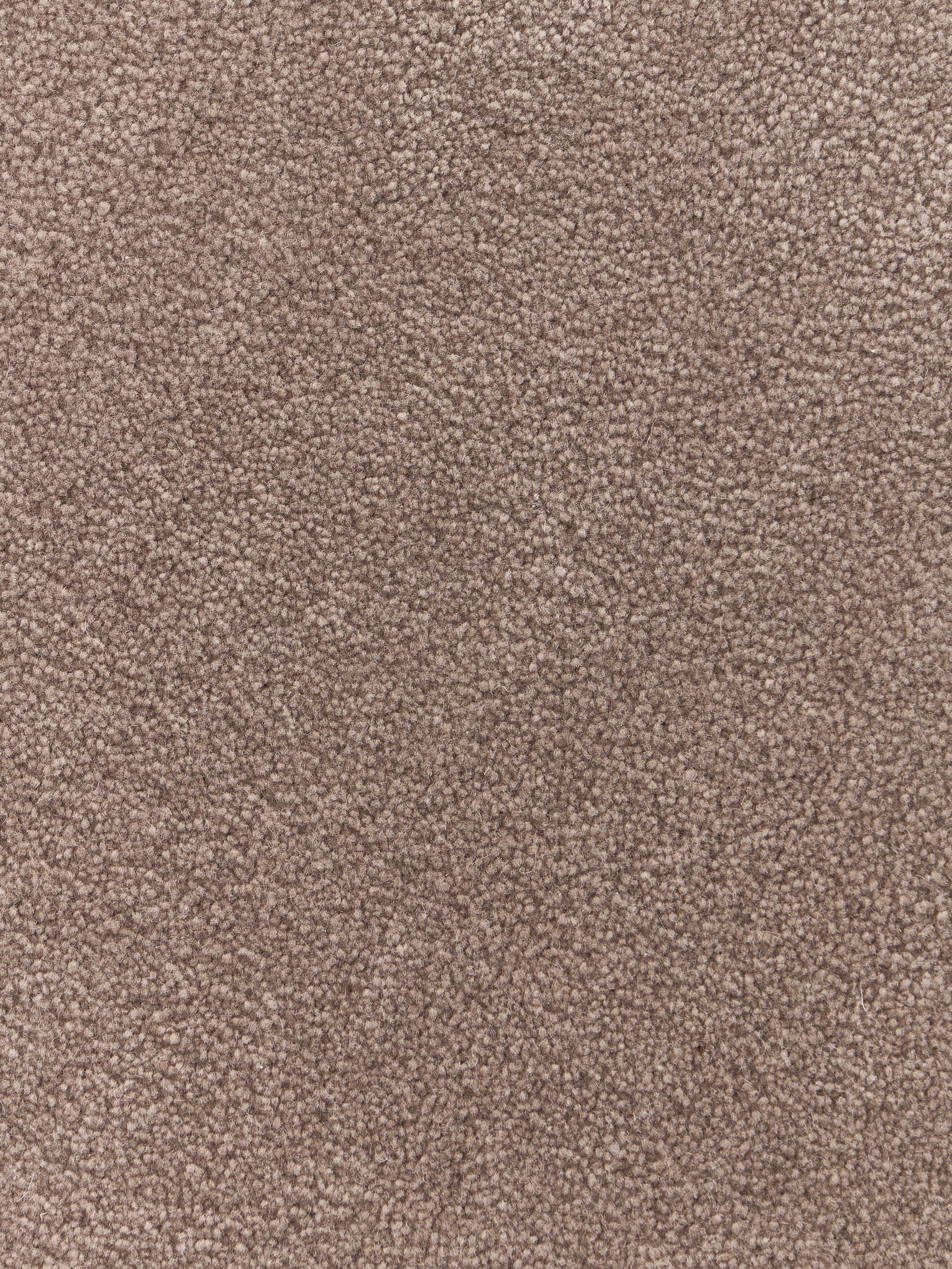 Kadey Organic-Shaped Hand-Tufted Wool Rug