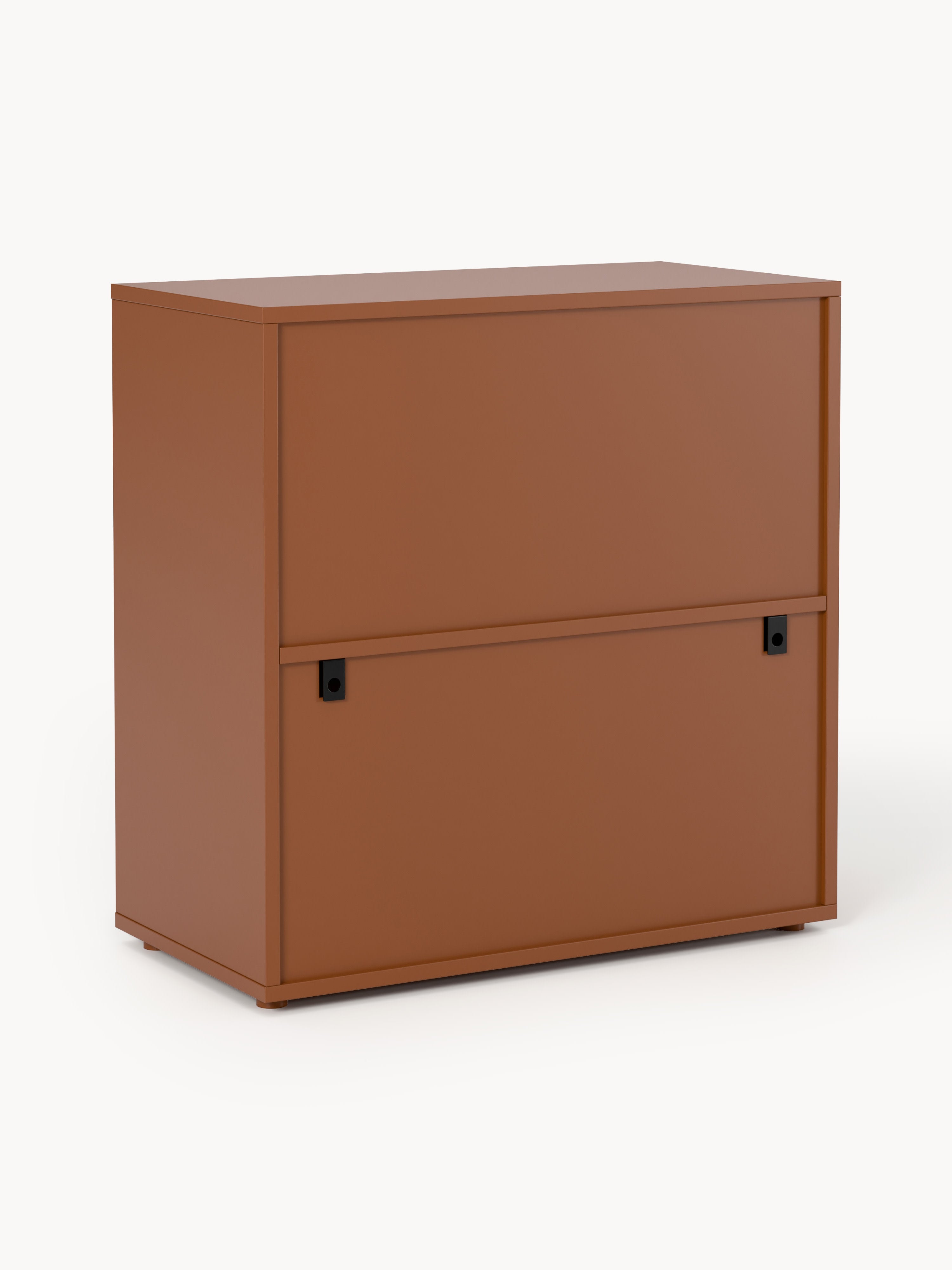 Module Ani for Modular Shelf System