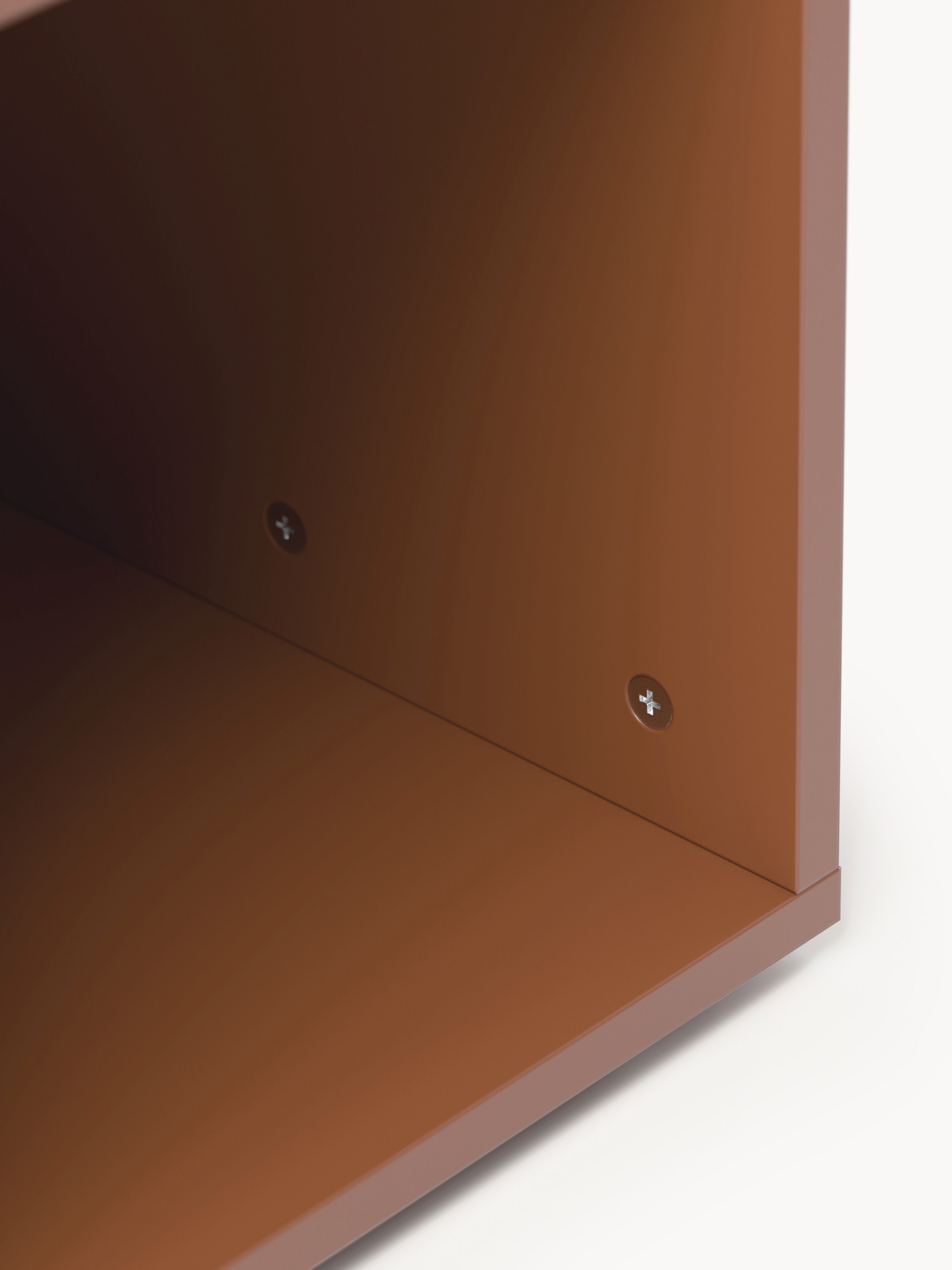 Module Ani for Modular Shelf System
