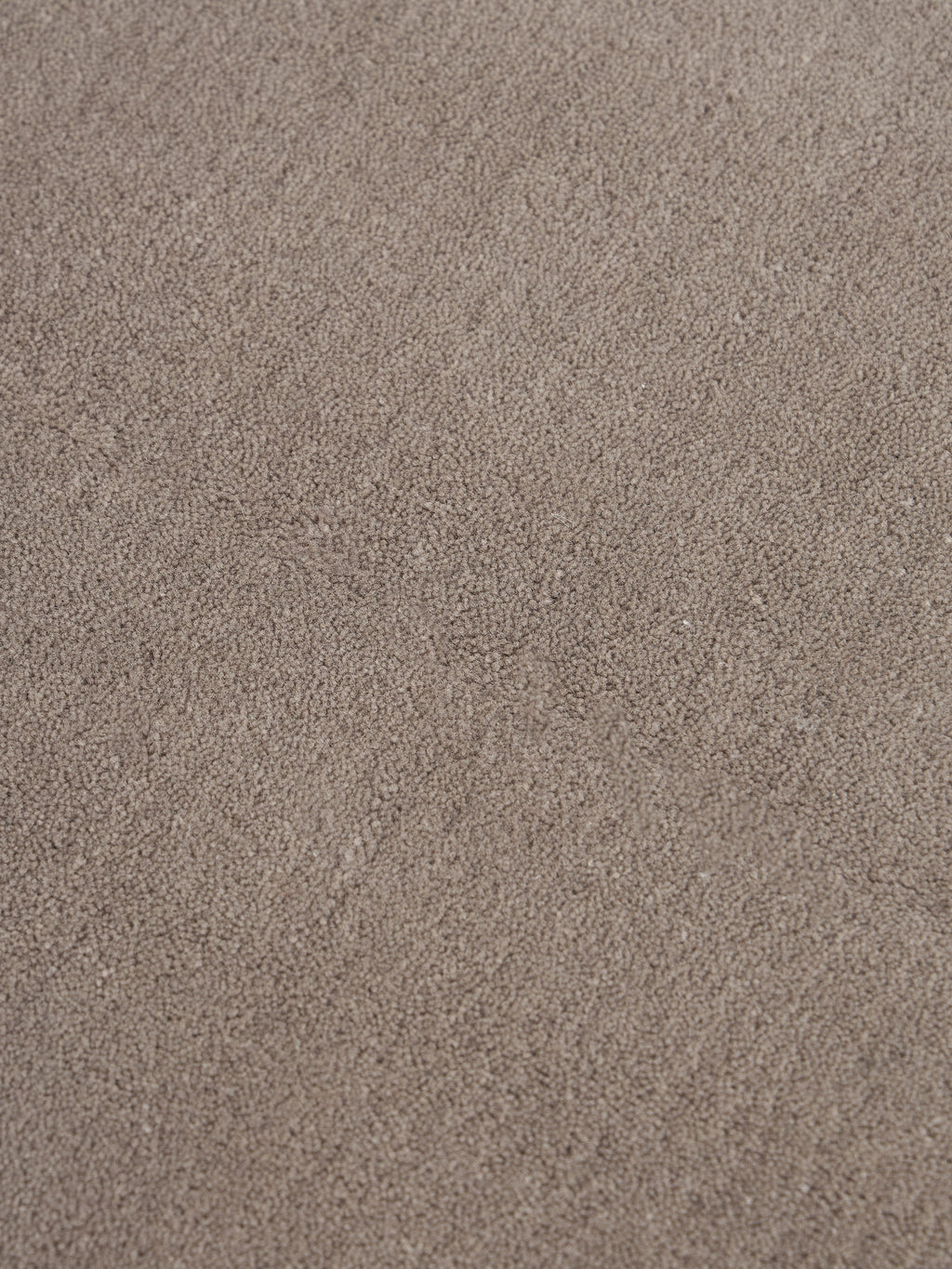 Zayne Hand-Tufted Wool Rug