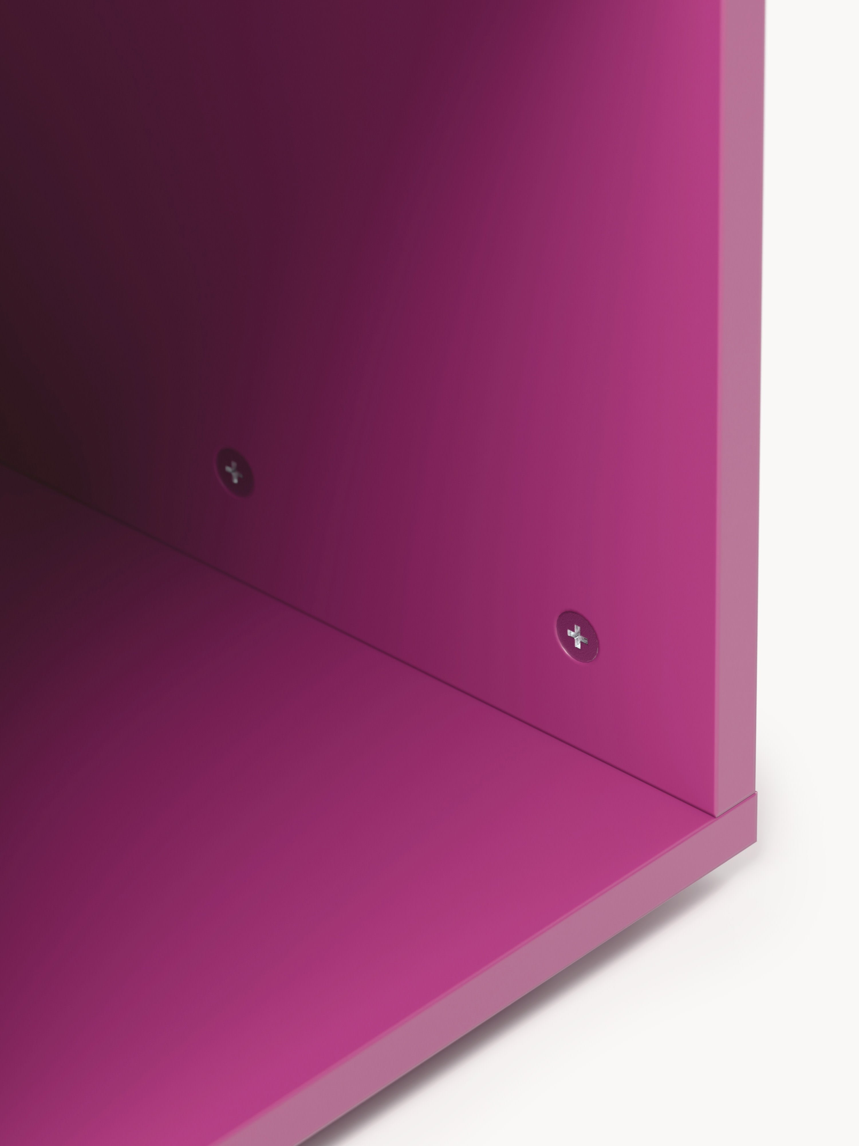 Module Ani for Modular Shelf System