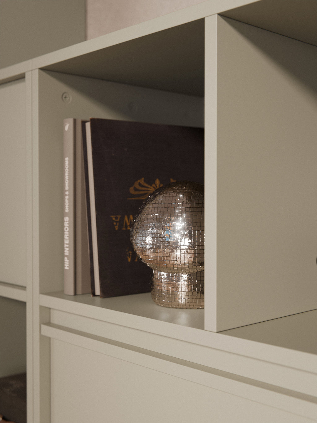 Module Ani for Modular Shelf System