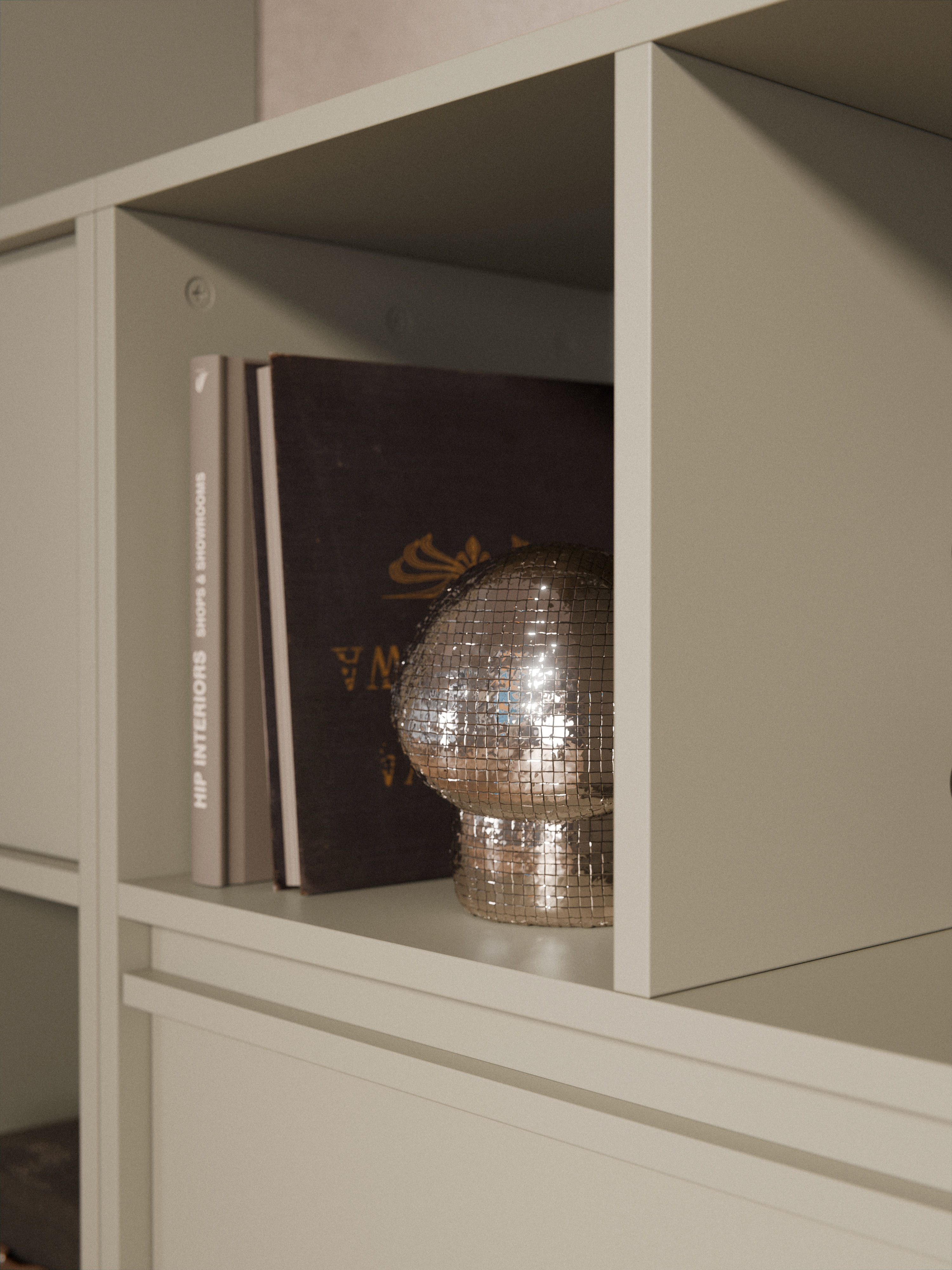 Module Ani for Modular Shelf System