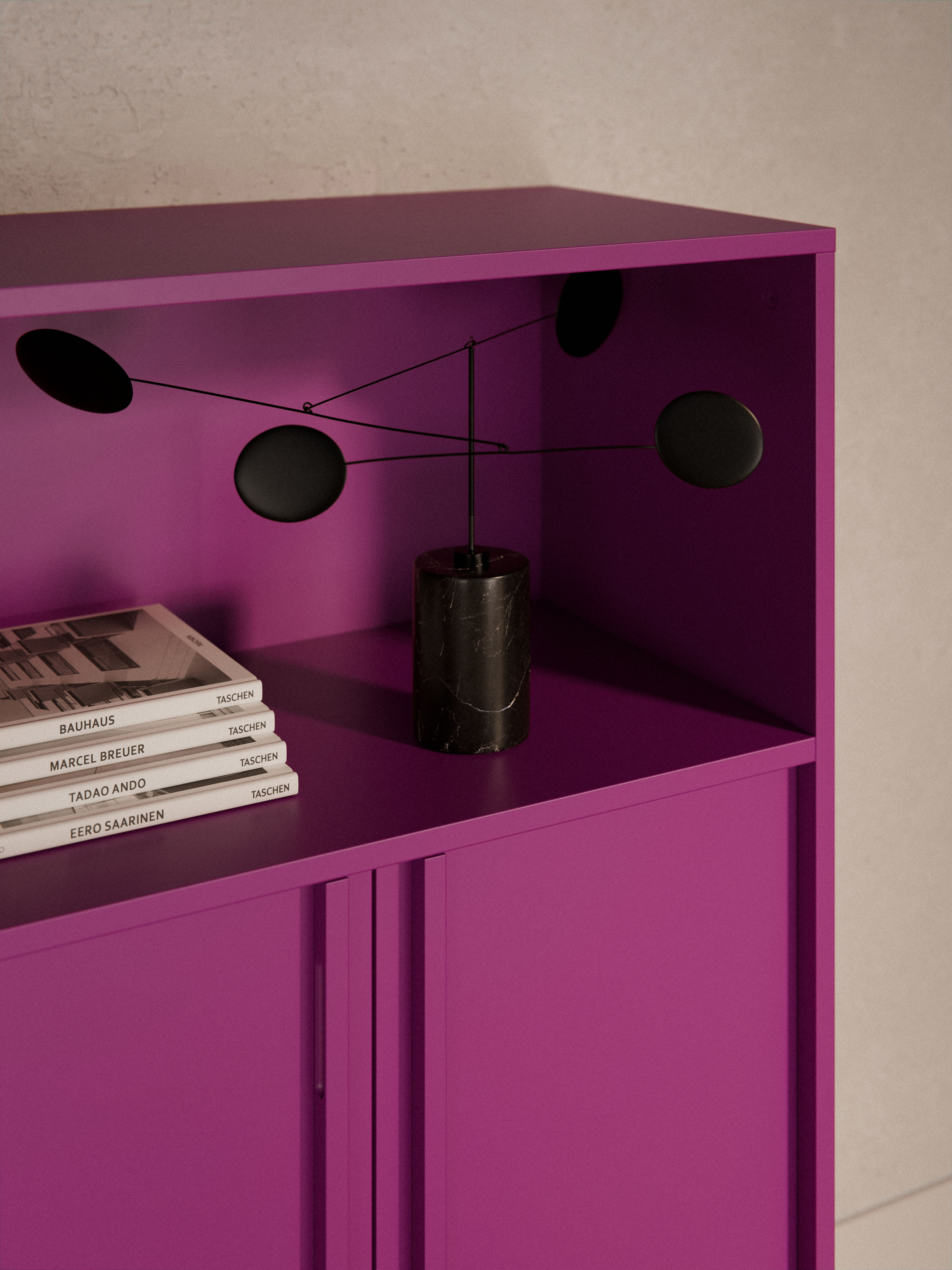 Module Ani for Modular Shelf System