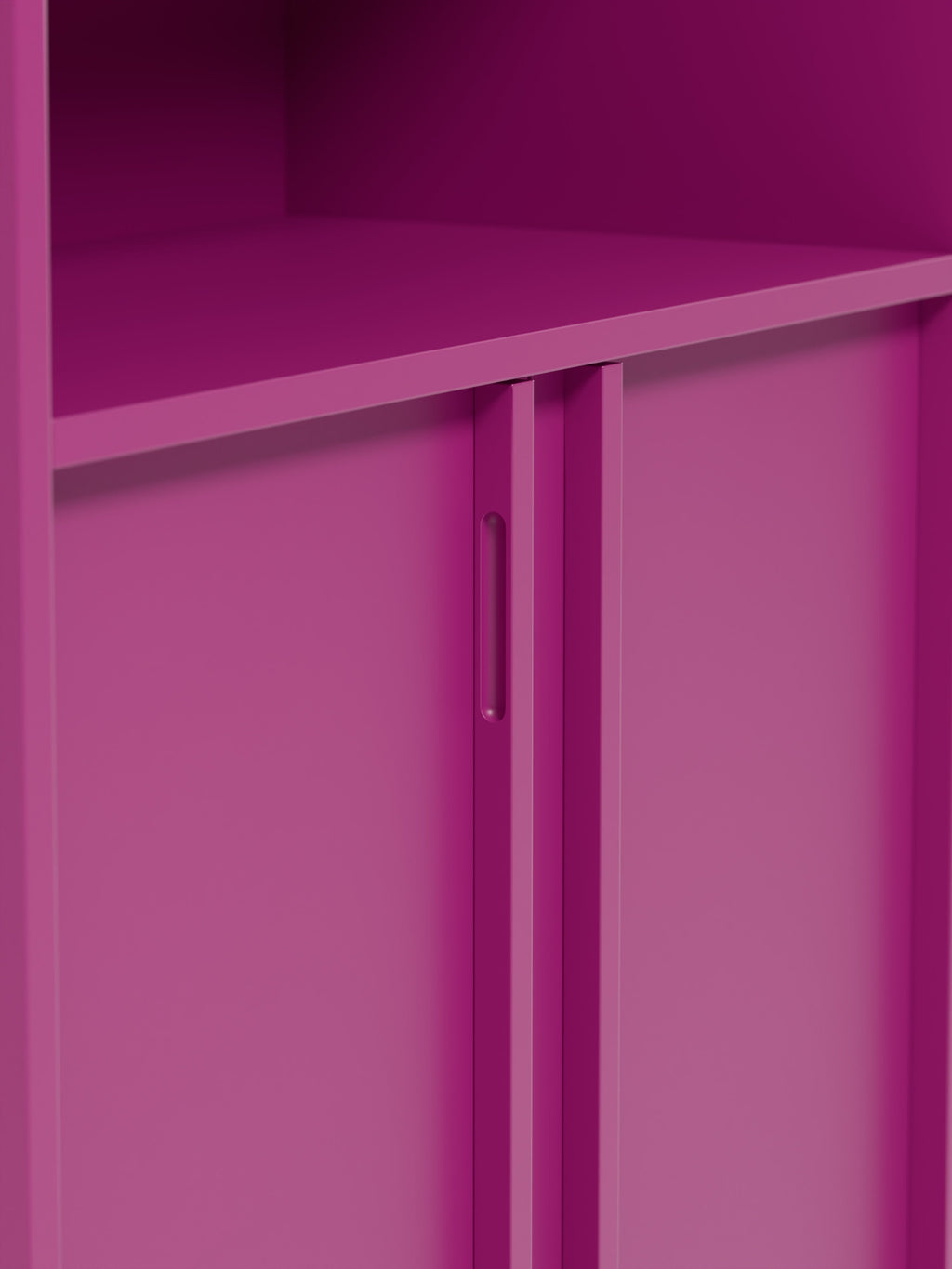 Module Ani for Modular Shelf System