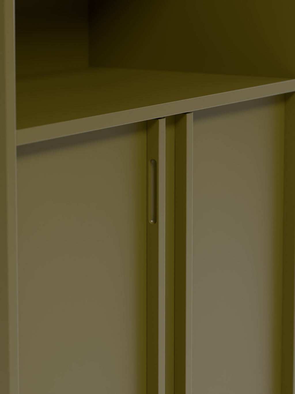 Module Ani for Modular Shelf System