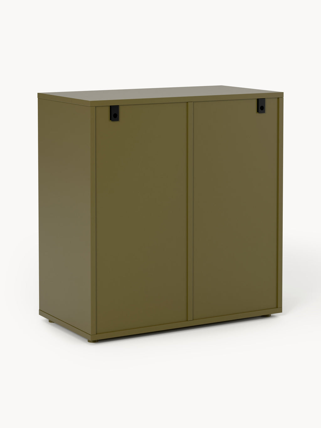 Module Ani for Modular Shelf System