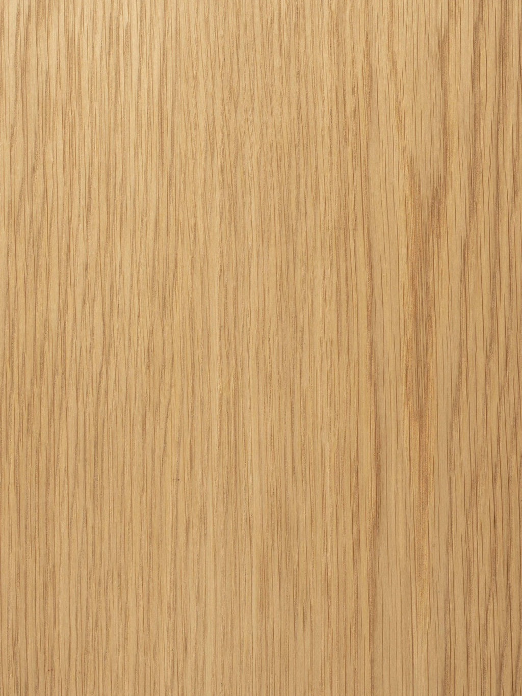 Brave Wooden Bench