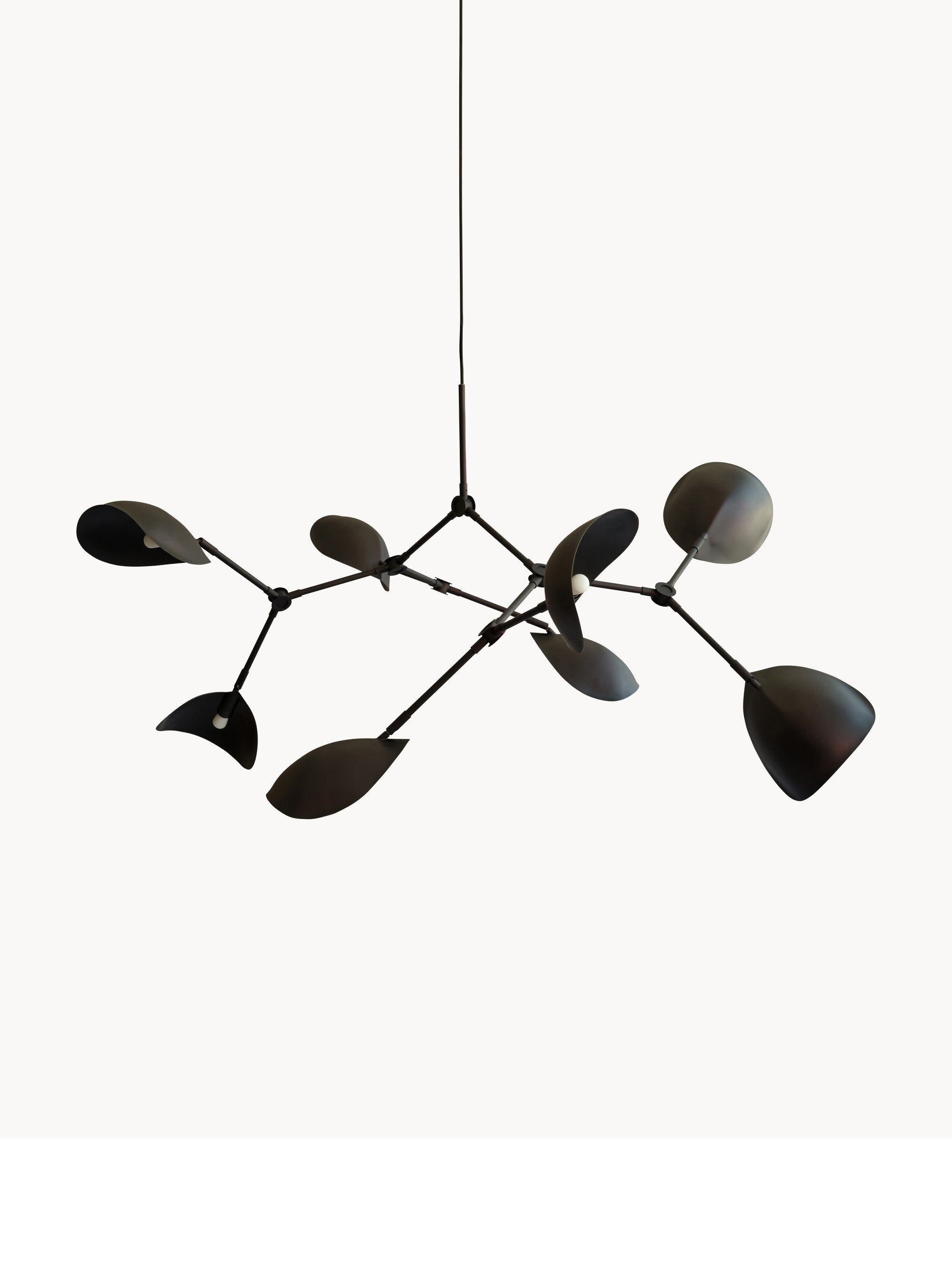 Gallery image 1 - Large Chandelier Stingray, in various sizes