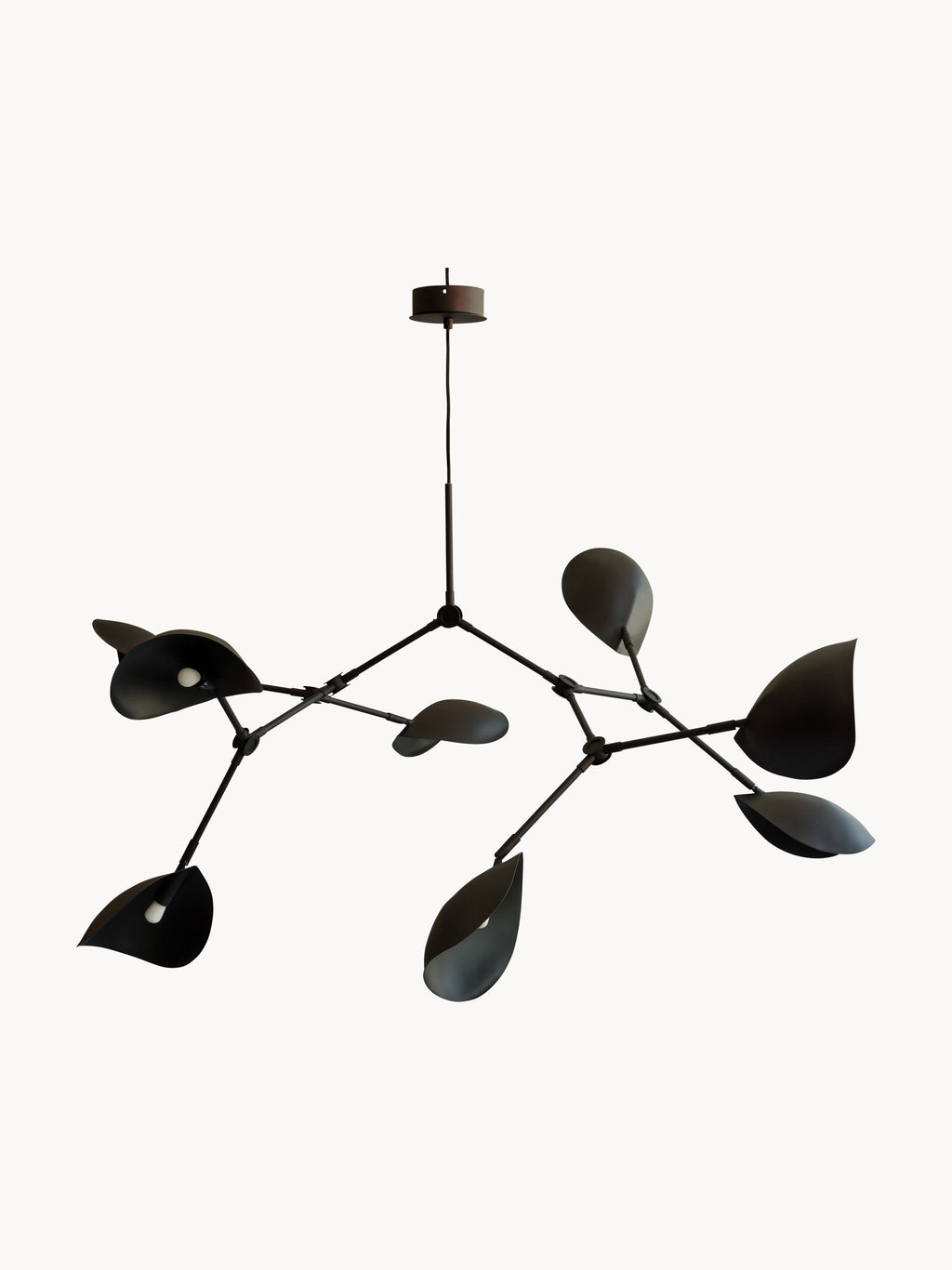 Stingray Large Chandelier, in various sizes