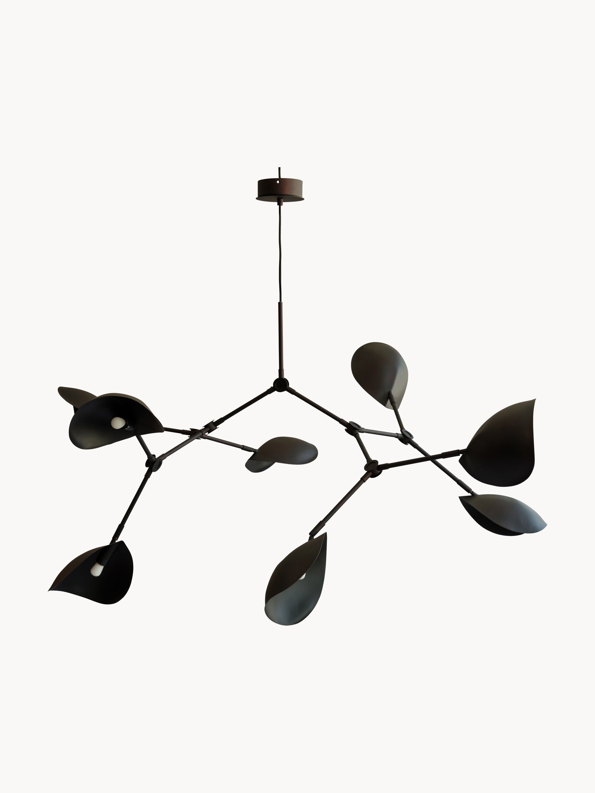 Stingray Large Chandelier, in various sizes